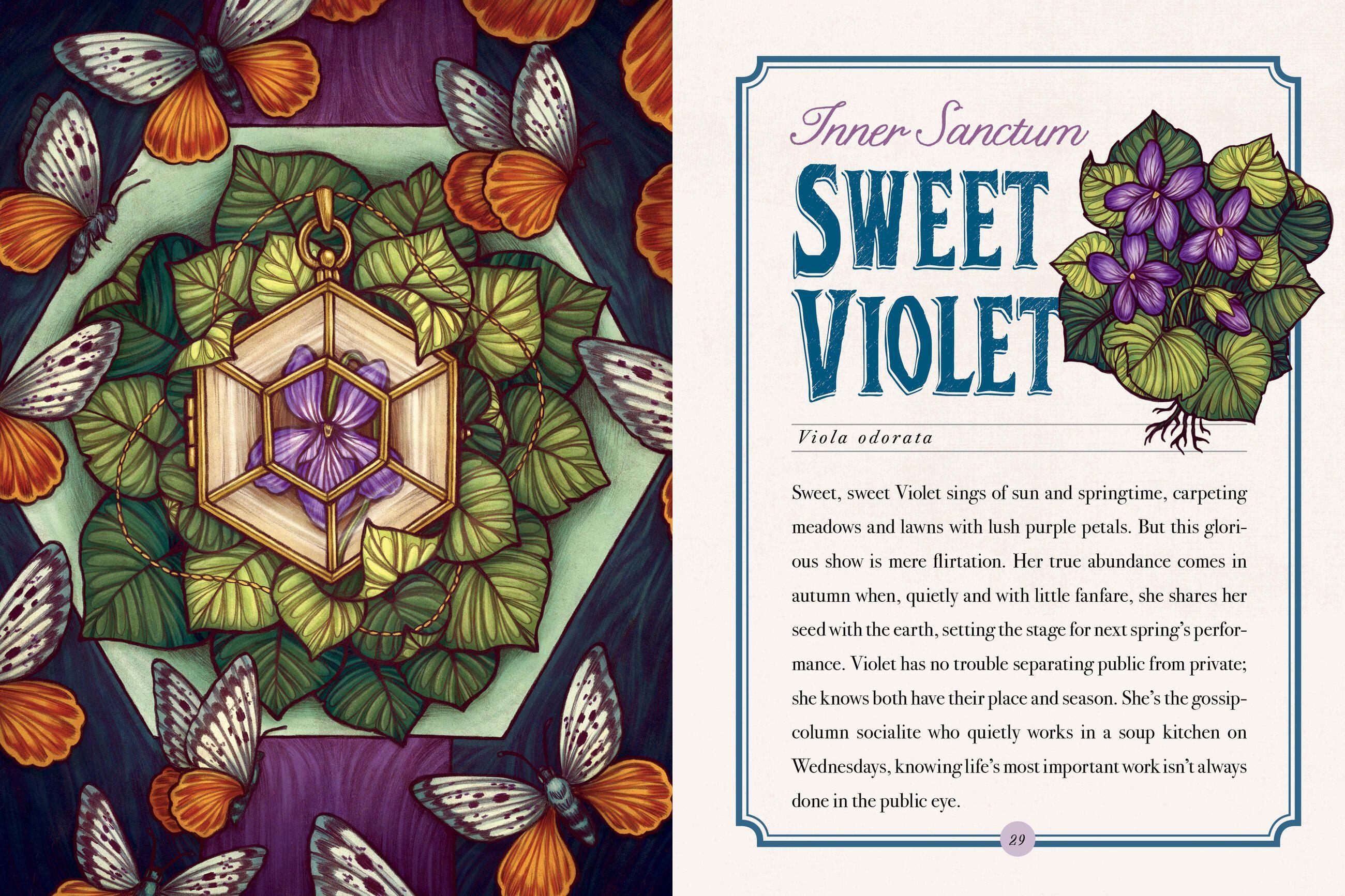 Beispielinhalt (Bild) Illustrated Herbiary