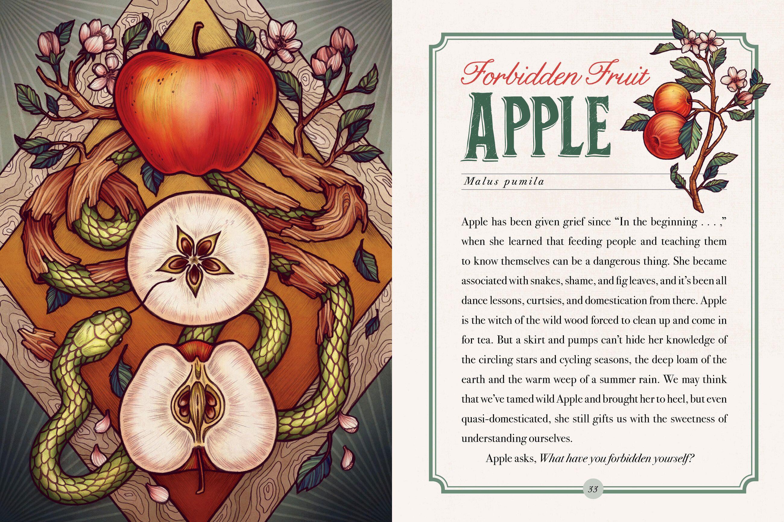 Beispielinhalt (Bild) Illustrated Herbiary