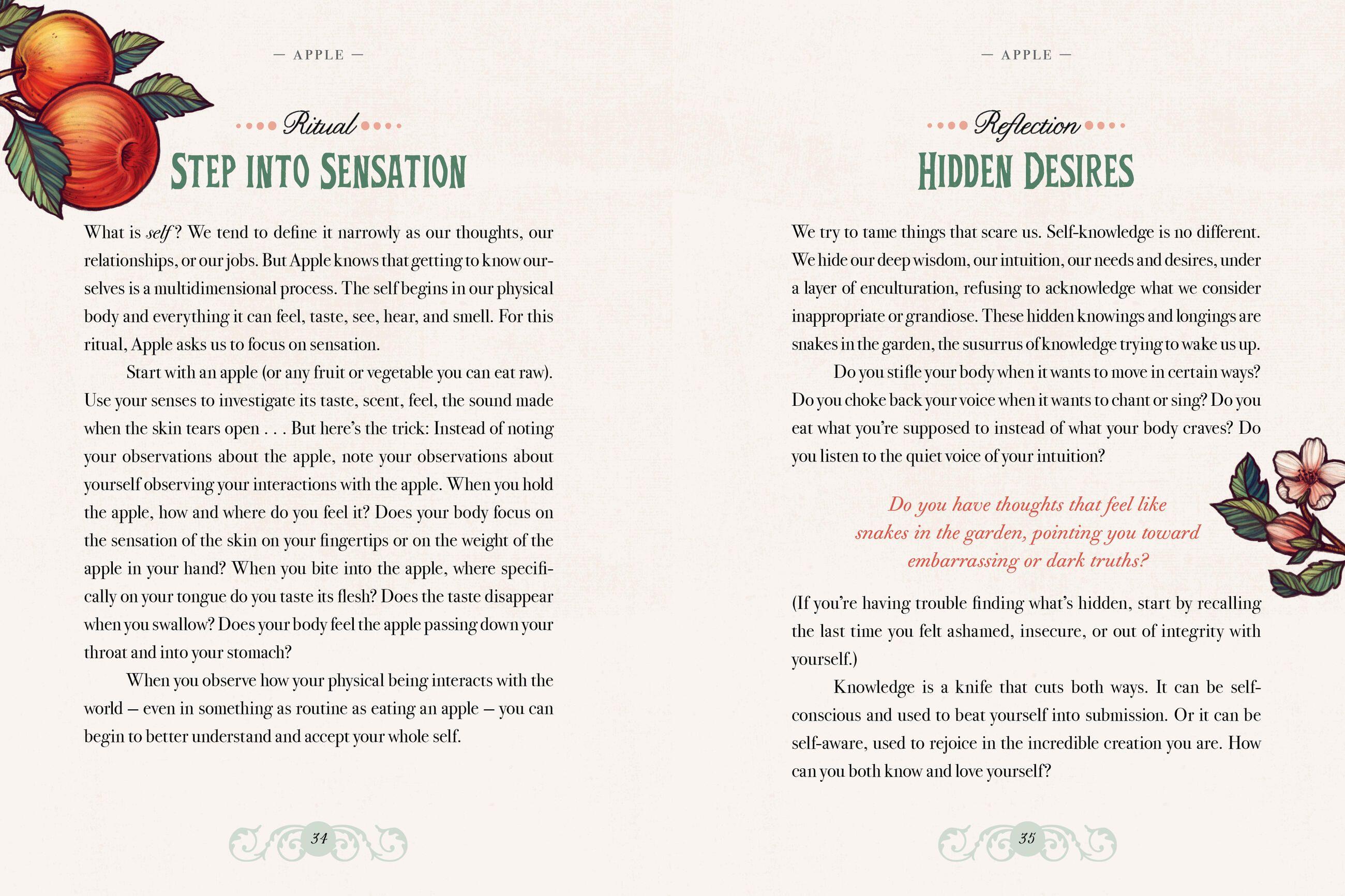 Beispielinhalt (Bild) Illustrated Herbiary