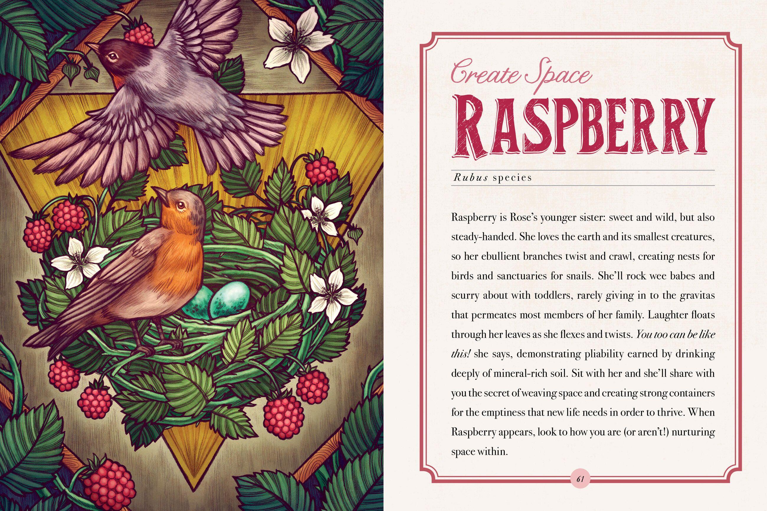 Beispielinhalt (Bild) Illustrated Herbiary