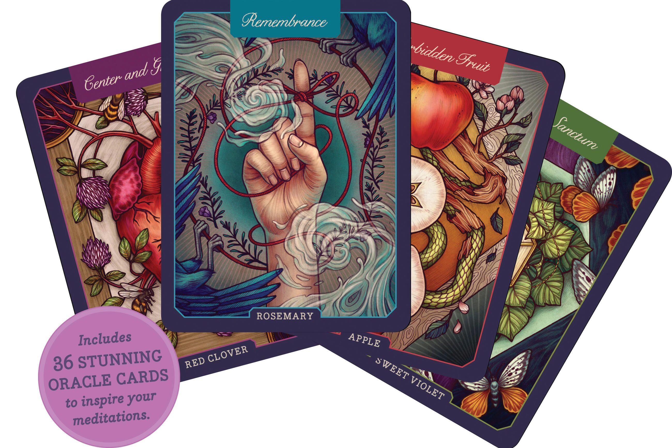 Beispielinhalt (Bild) Illustrated Herbiary