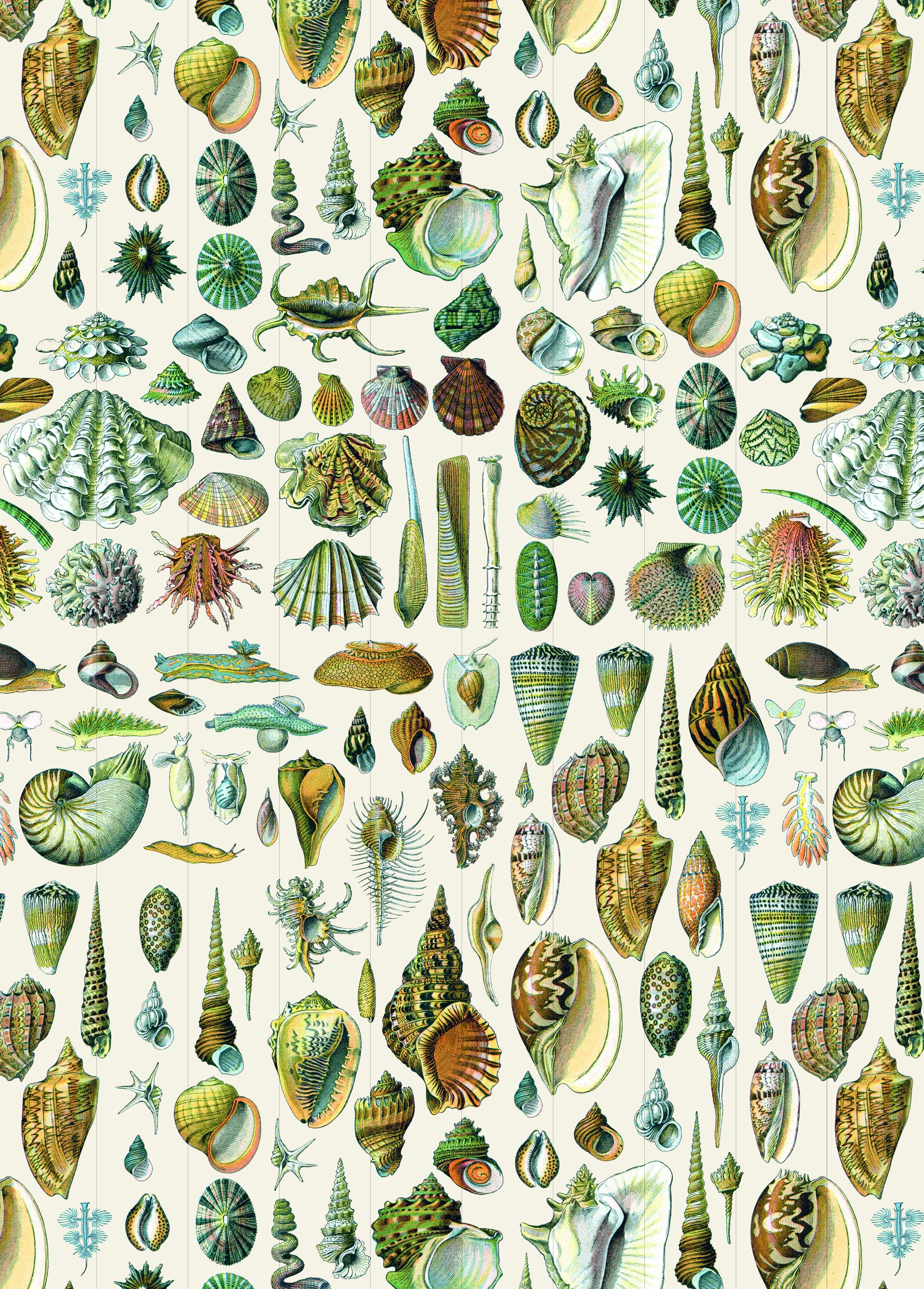 Beispielinhalt (Bild) Natural History - Labels, Stickers & Tape