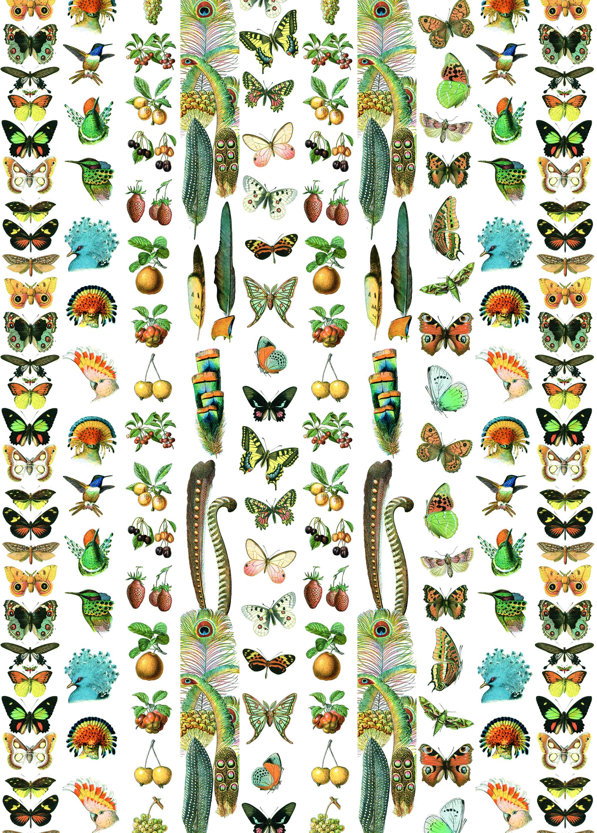 Beispielinhalt (Bild) Natural History - Labels, Stickers & Tape