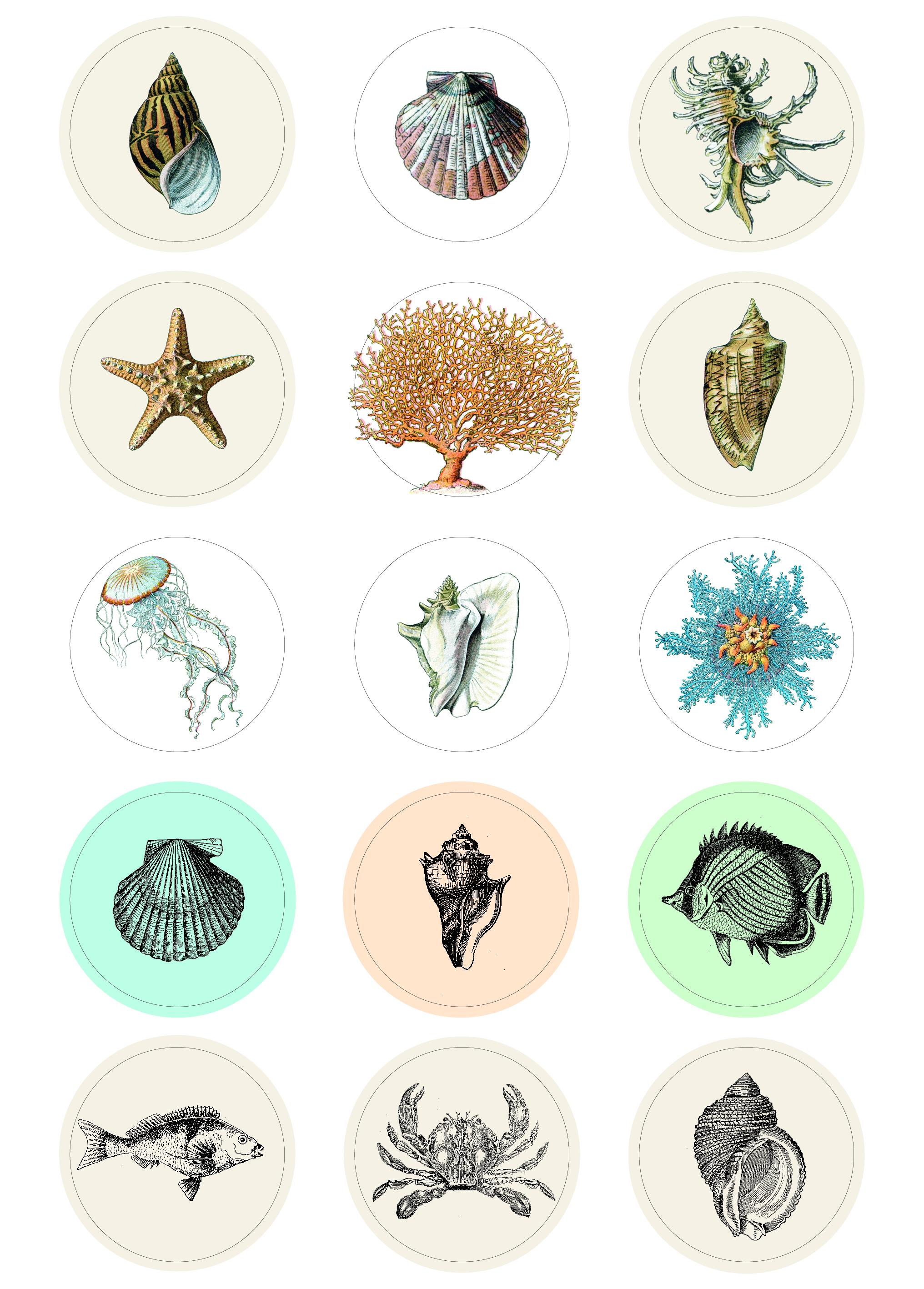 Beispielinhalt (Bild) Natural History - Labels, Stickers & Tape