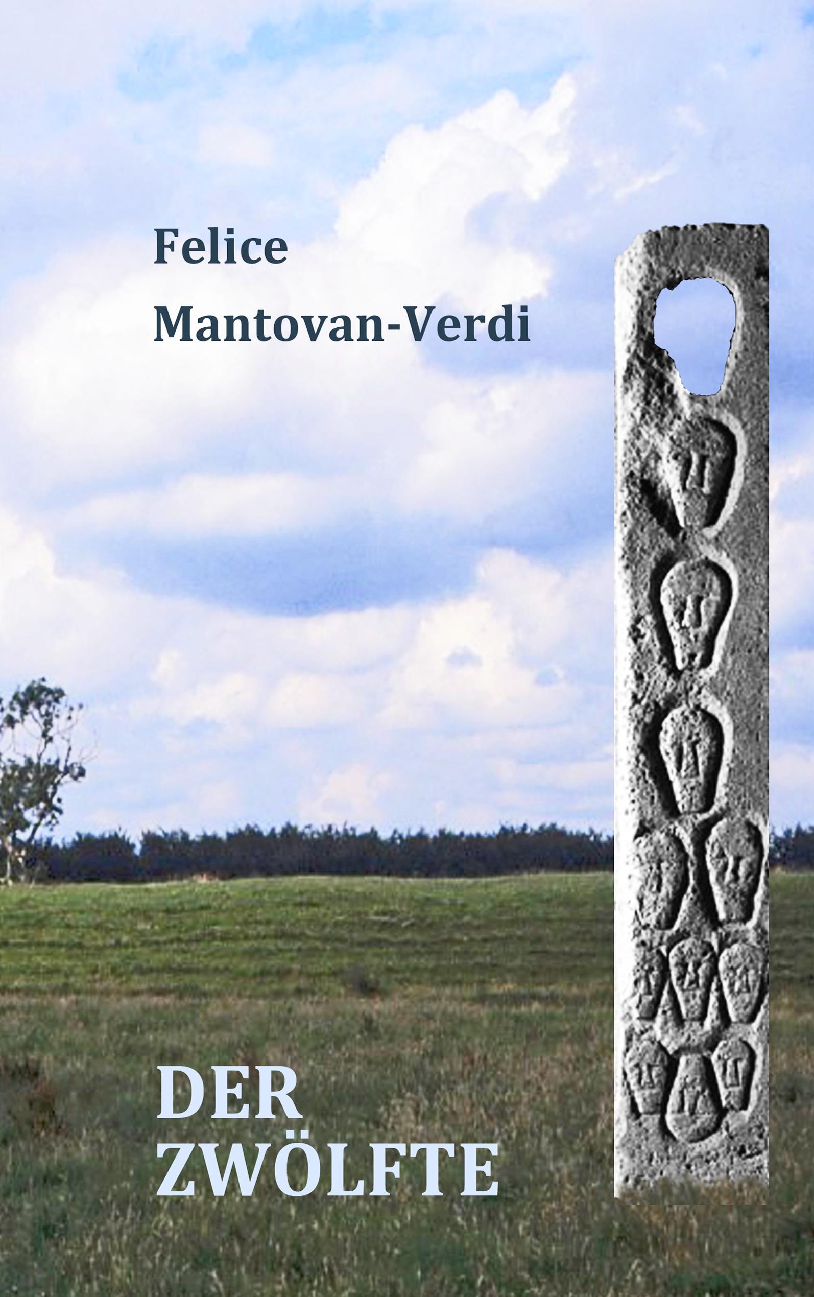 Vorderes Coverbild Der Zwölfte
