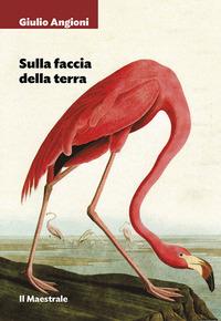 Vorderes Coverbild Sulla faccia della terra