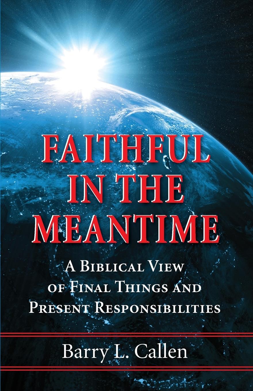 Vorderes Coverbild Faithful in the Meantime