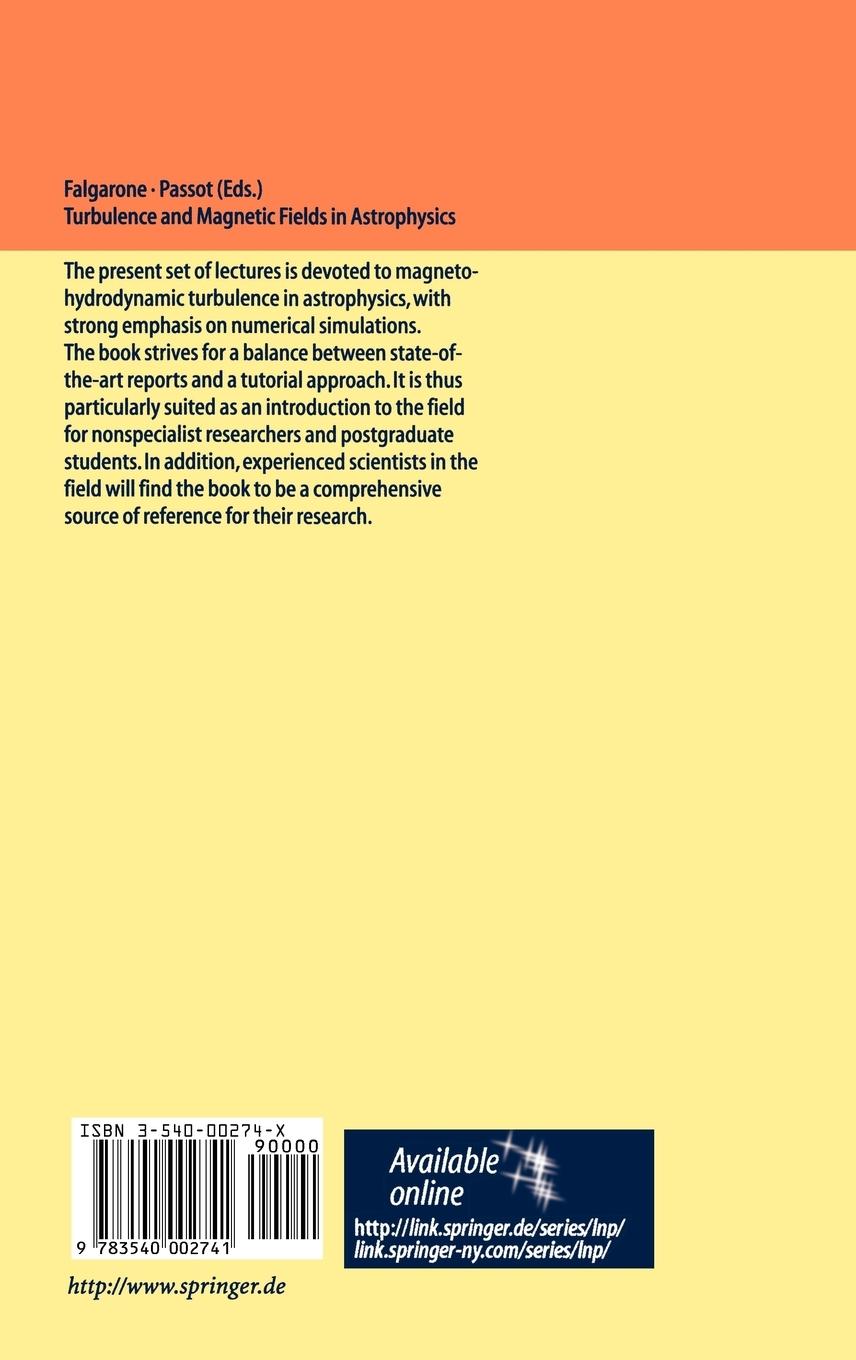 Rückseitencover Turbulence and Magnetic Fields in Astrophysics