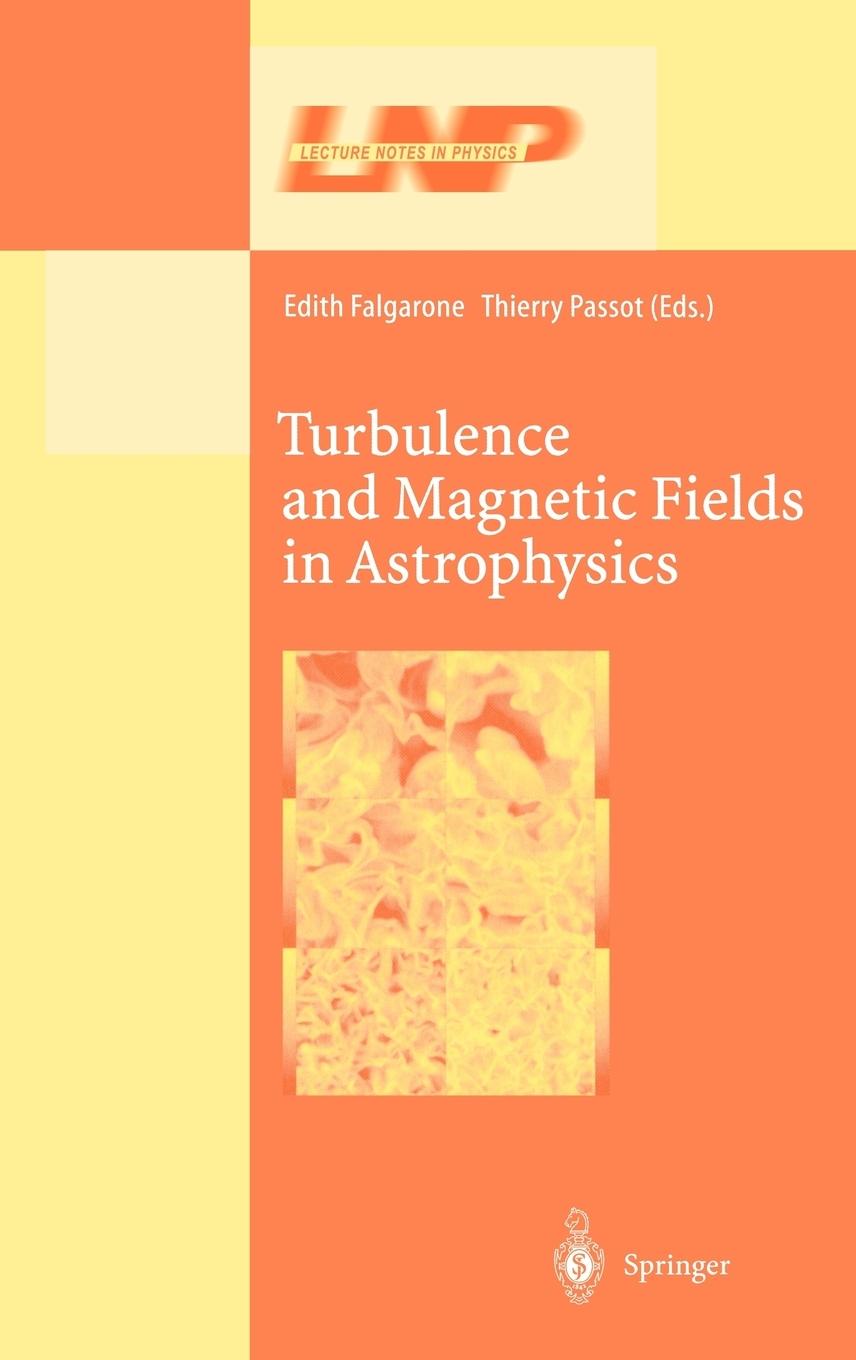 Vorderes Coverbild Turbulence and Magnetic Fields in Astrophysics