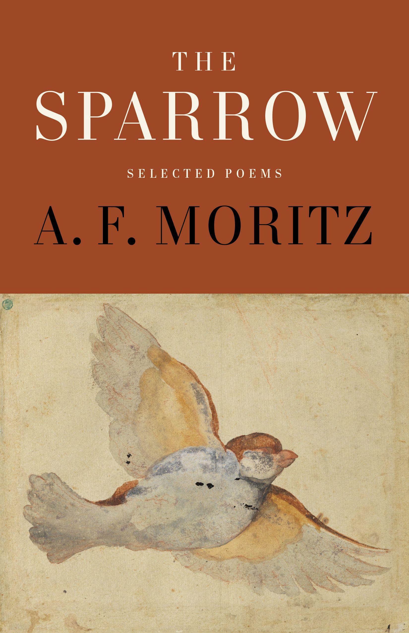 Vorderes Coverbild The Sparrow