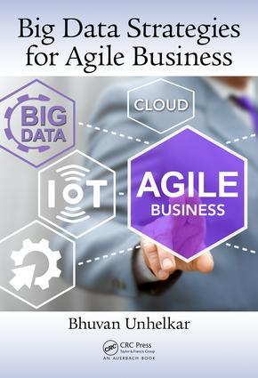 Vorderes Coverbild Big Data Strategies for Agile Business