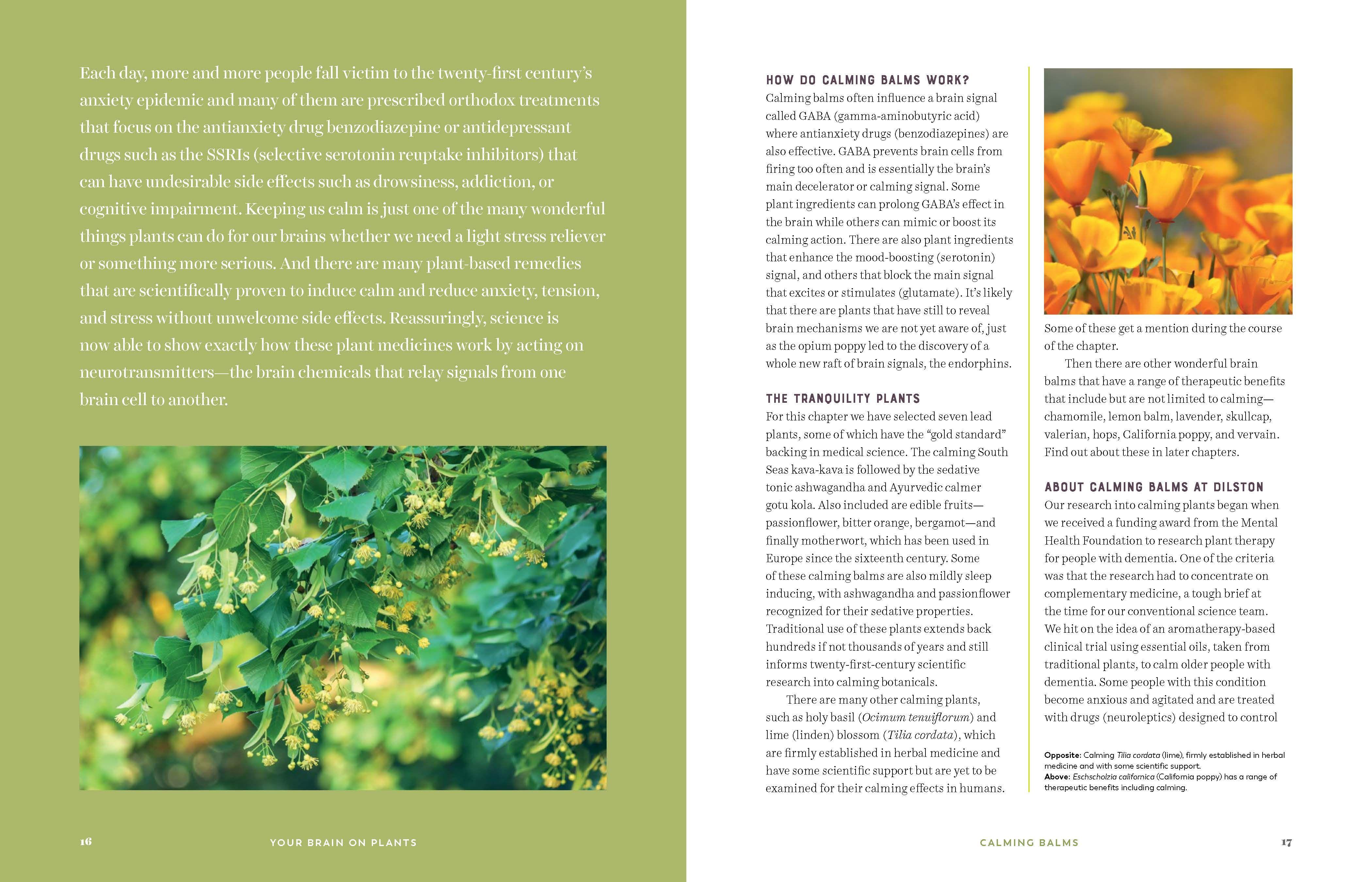 Beispielinhalt (Bild) Your Brain on Plants