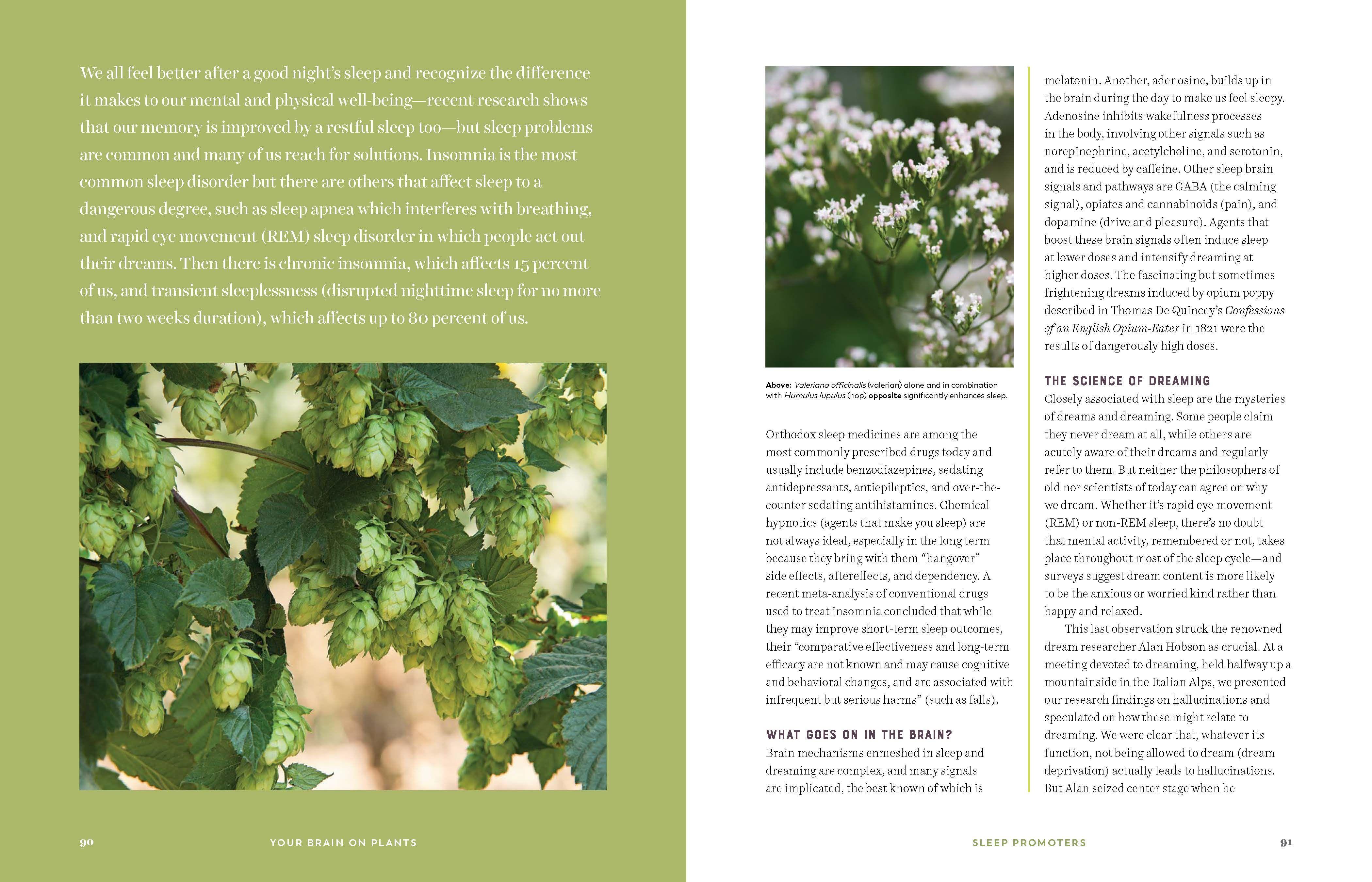 Beispielinhalt (Bild) Your Brain on Plants