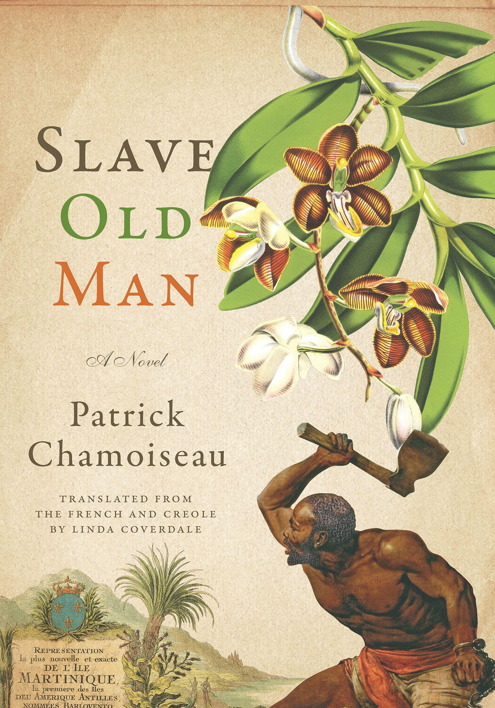 Vorderes Coverbild Slave Old Man