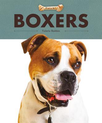 Vorderes Coverbild Boxers