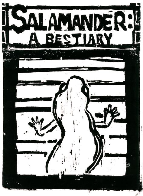 Vorderes Coverbild Salamander: A Bestiary