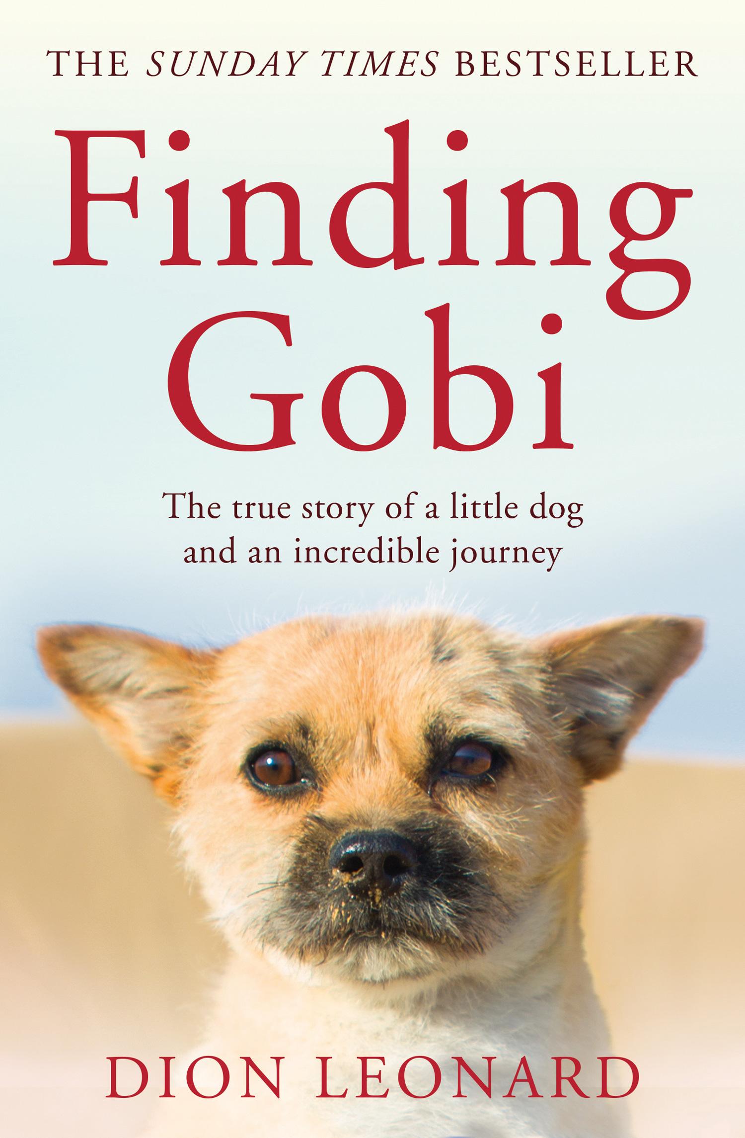 Vorderes Coverbild Finding Gobi (Main edition)