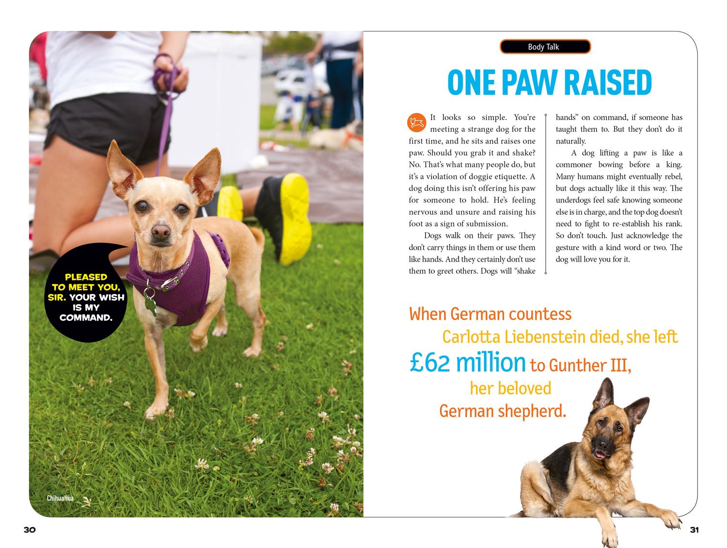 Beispielinhalt (Bild) How To Speak Dog