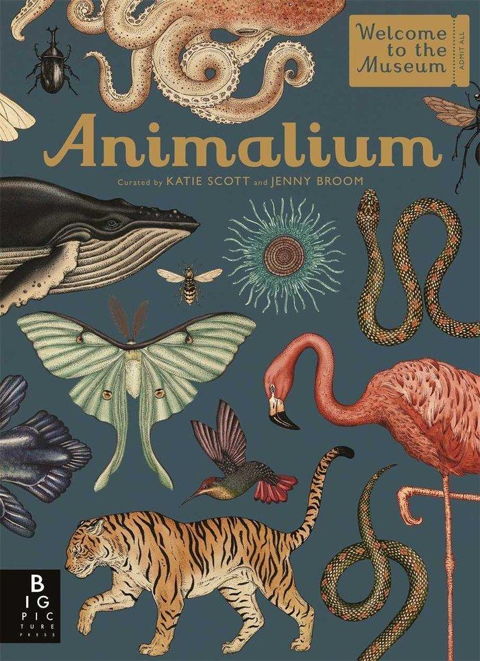 Vorderes Coverbild Animalium