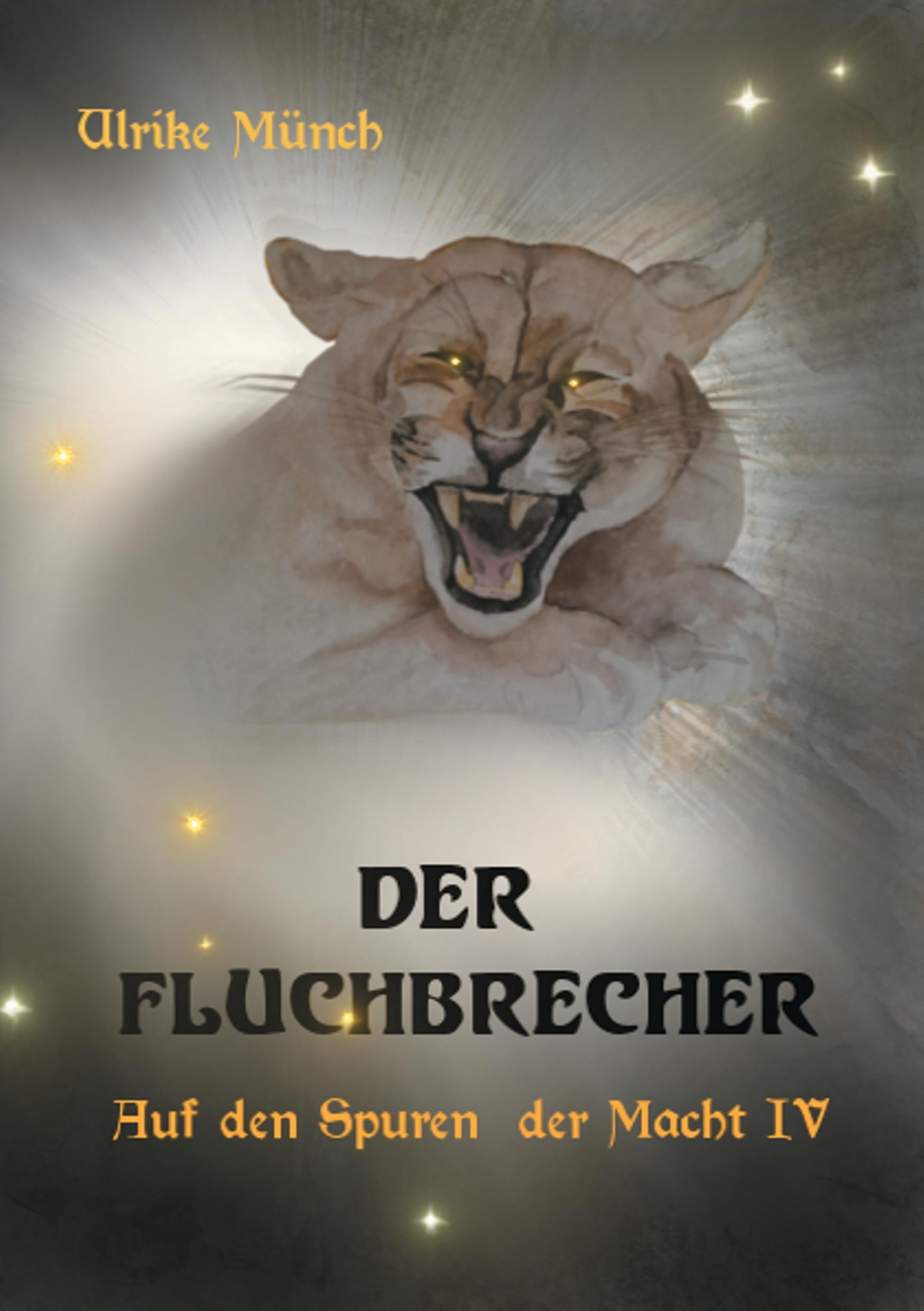 Vorderes Coverbild Auf den Spuren der Macht IV