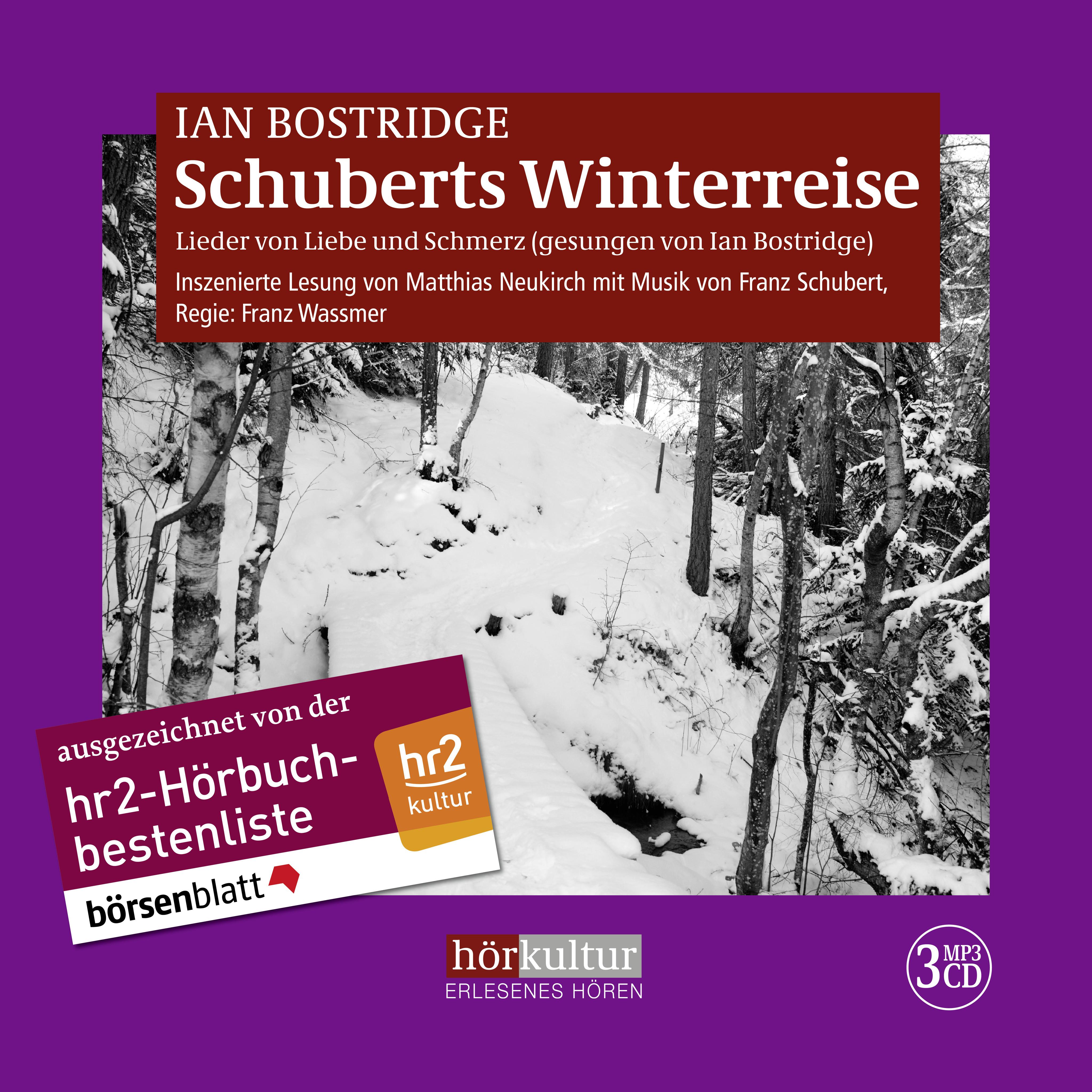 Vorderes Coverbild Schuberts Winterreise