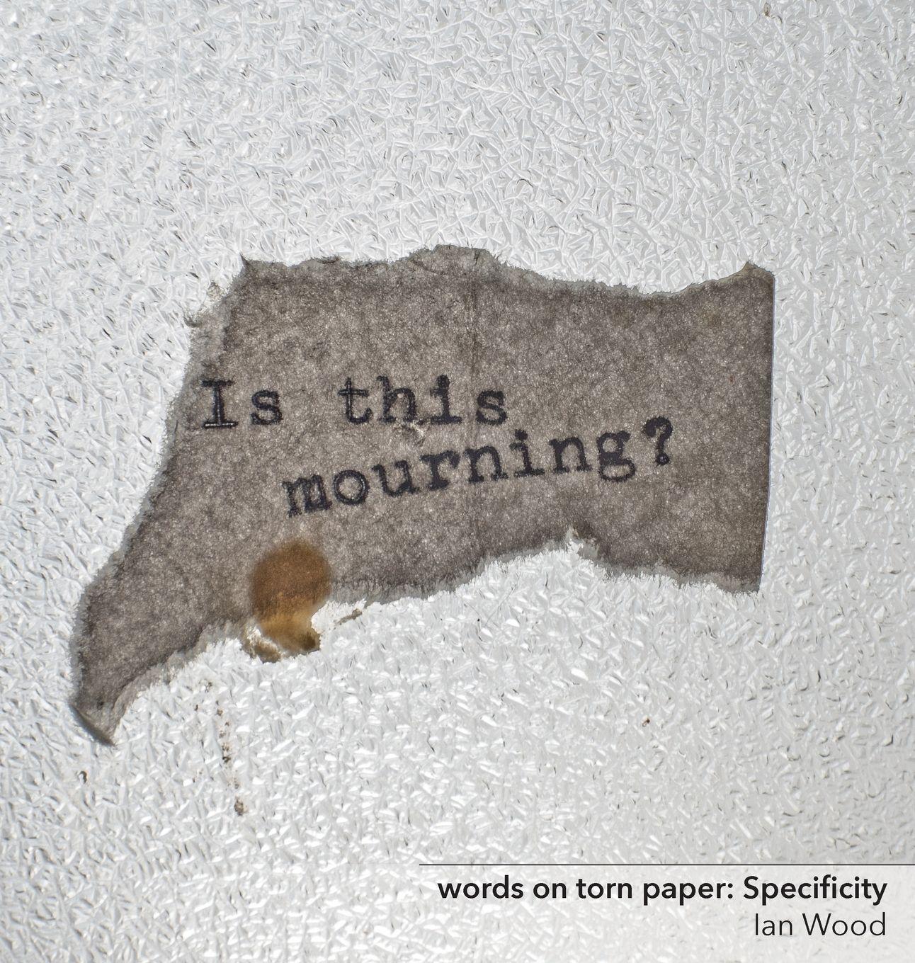 Vorderes Coverbild words on torn paper