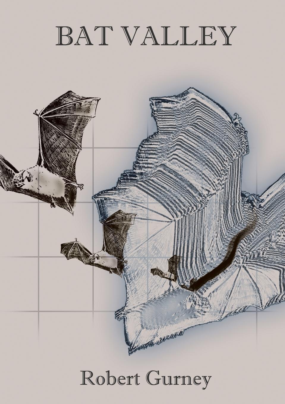 Vorderes Coverbild Bat Valley and Other  Strange African Animal Stories