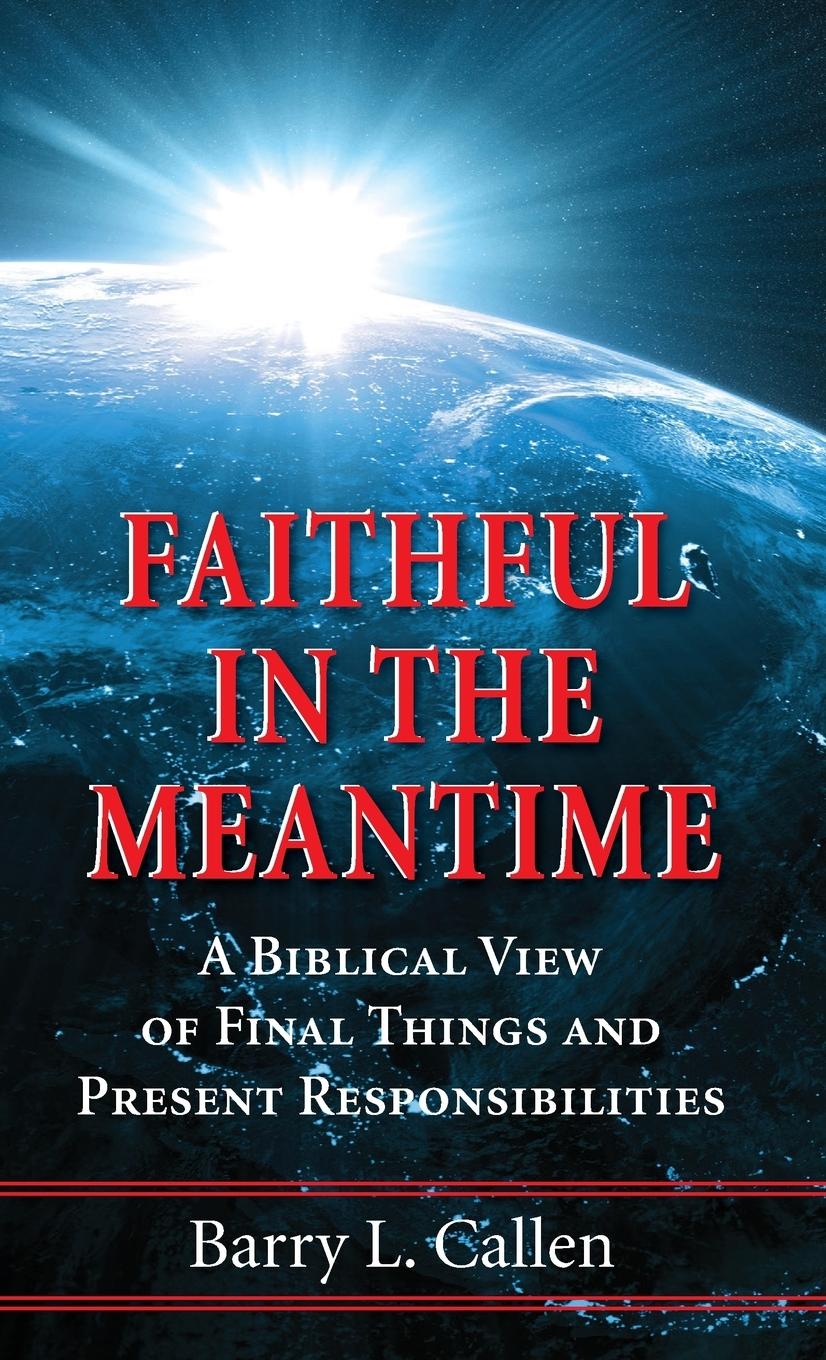 Vorderes Coverbild Faithful in the Meantime