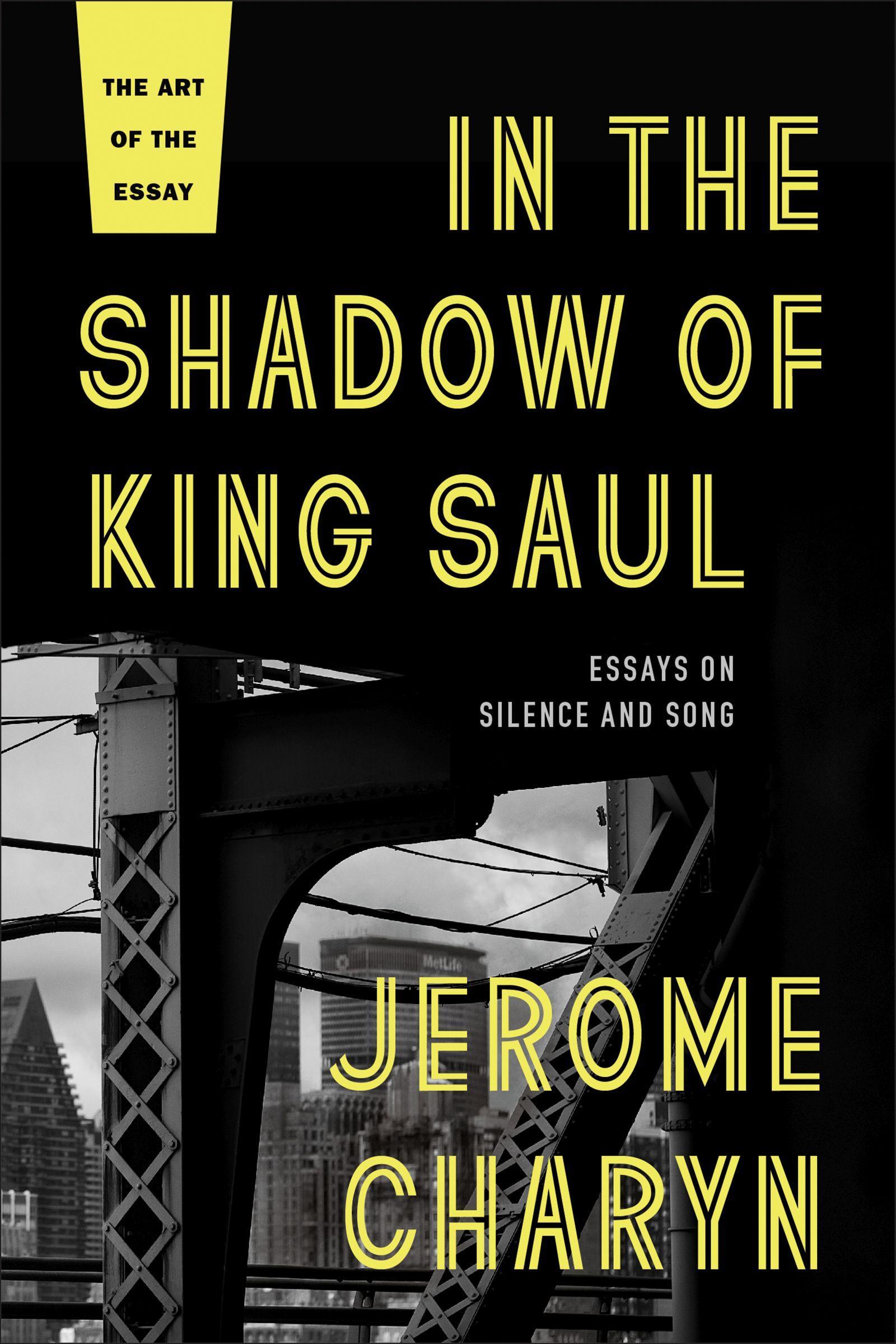 Vorderes Coverbild In the Shadow of King Saul
