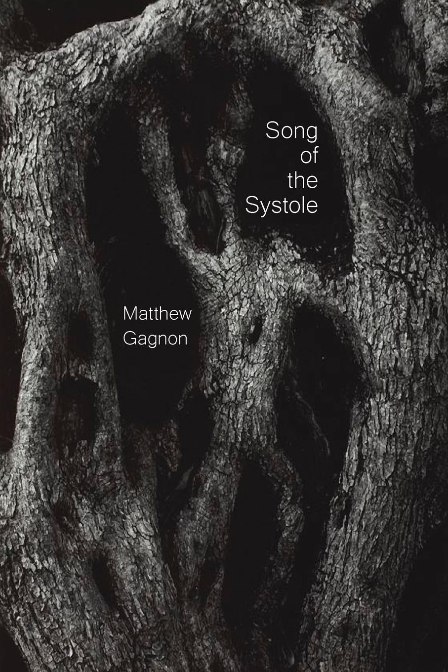 Vorderes Coverbild Song of the Systole