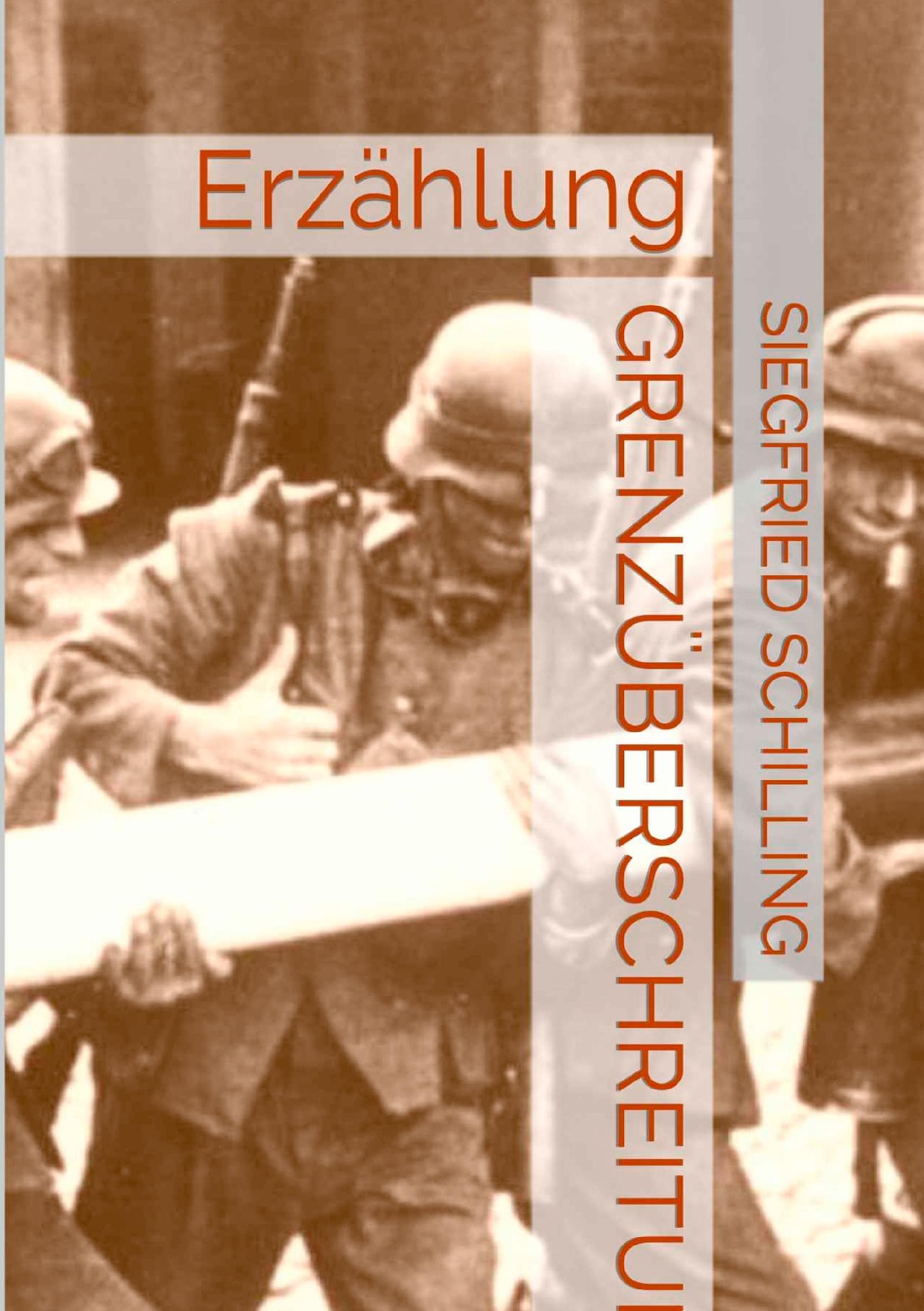 Vorderes Coverbild Grenzüberschreitung