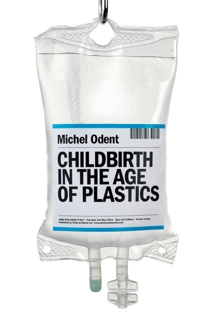 Vorderes Coverbild Childbirth in the Age of Plastics