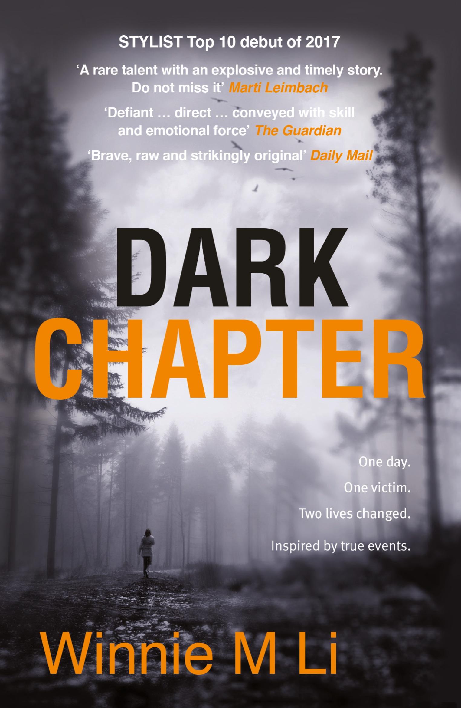 Vorderes Coverbild Dark Chapter
