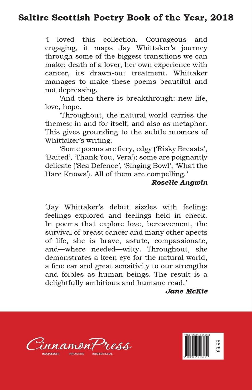 Rückseitencover Wristwatch