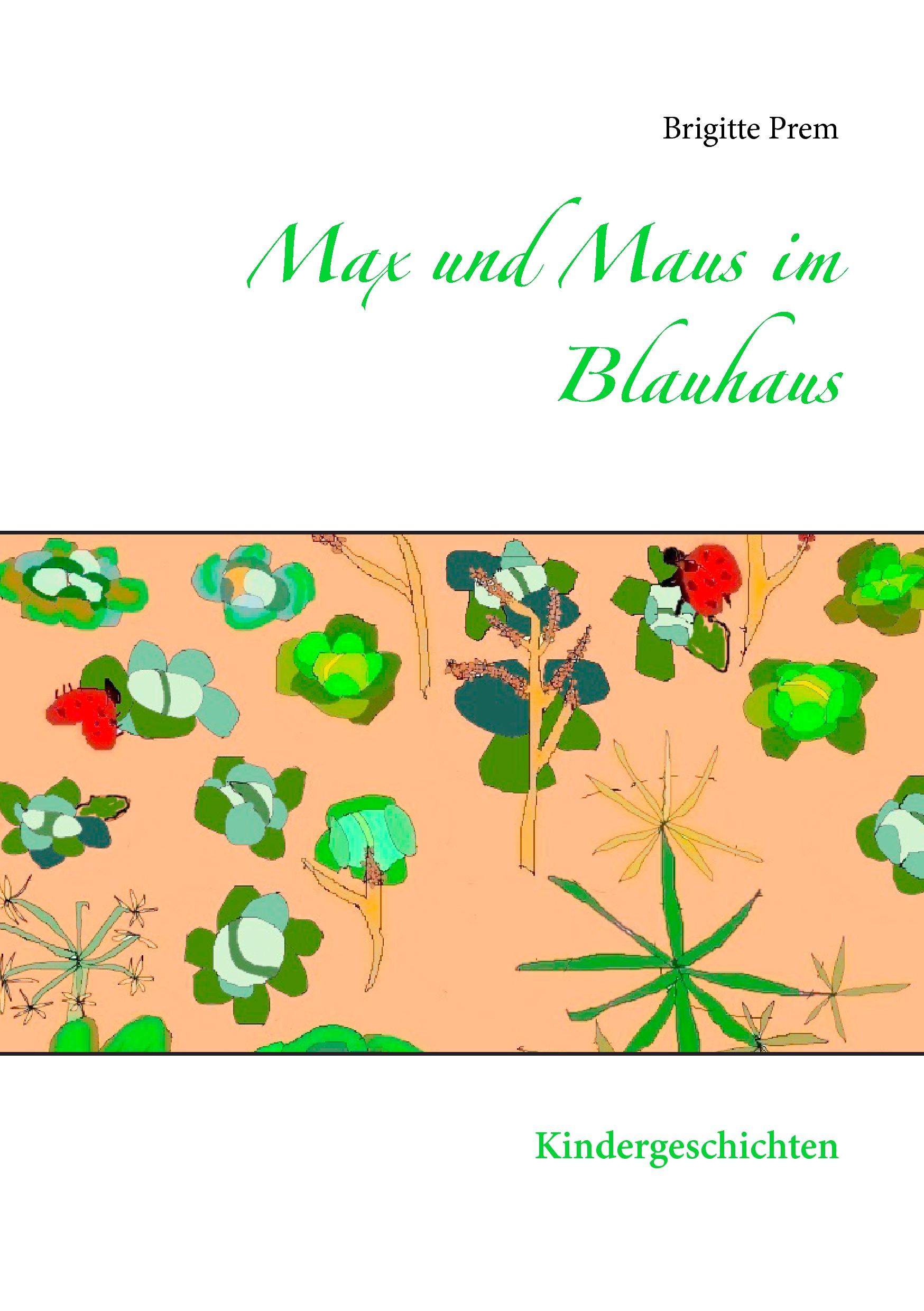 Vorderes Coverbild Max und Maus im Blauhaus