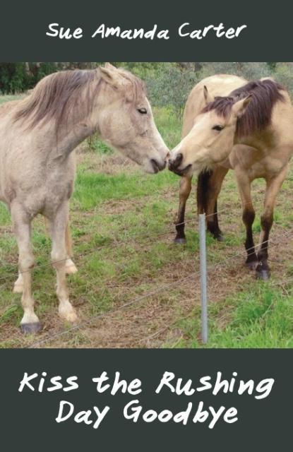 Vorderes Coverbild Kiss the Rushing Day Goodbye