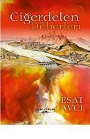Vorderes Coverbild Cigerdelen Dilberleri
