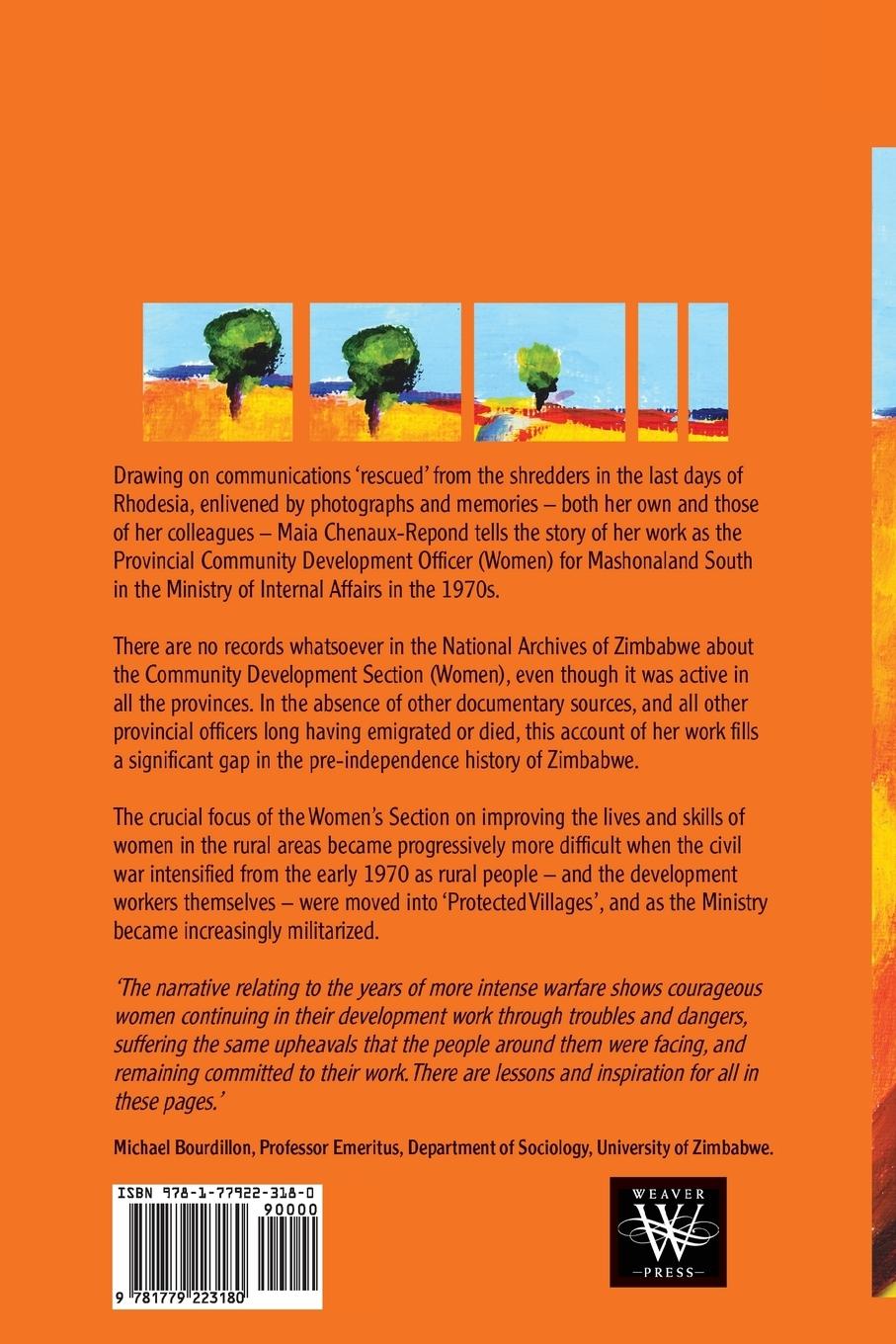 Rückseitencover Leading from Behind