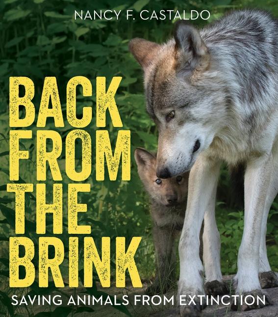 Vorderes Coverbild Back from the Brink