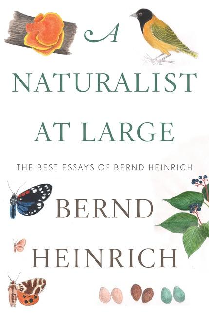 Vorderes Coverbild A Naturalist at Large