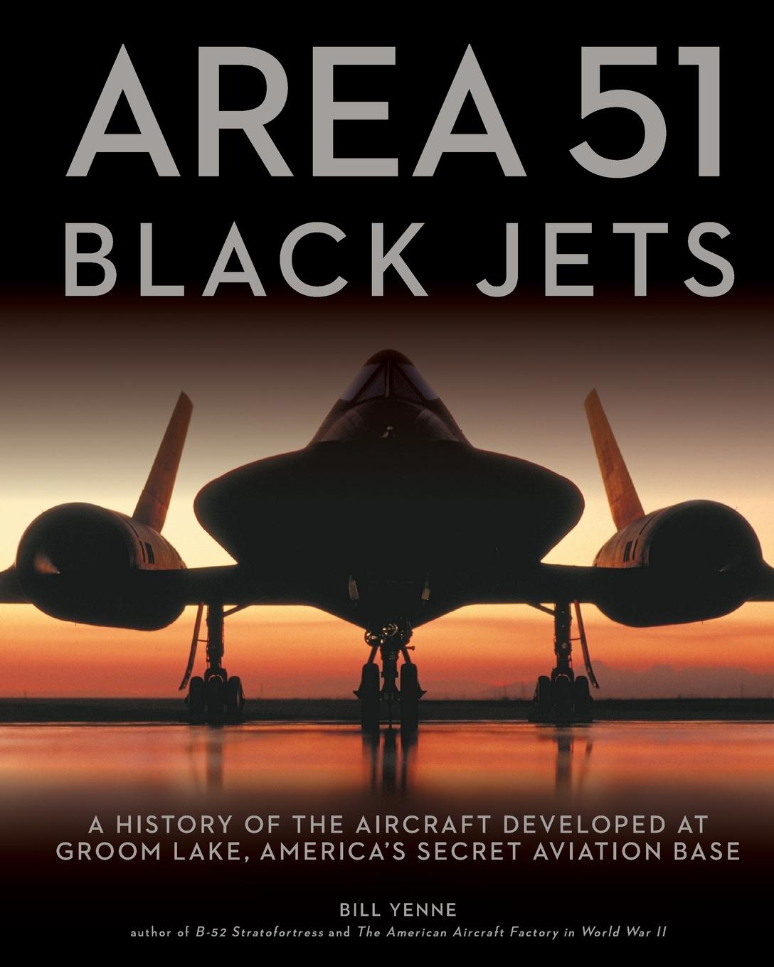 Vorderes Coverbild Area 51 - Black Jets