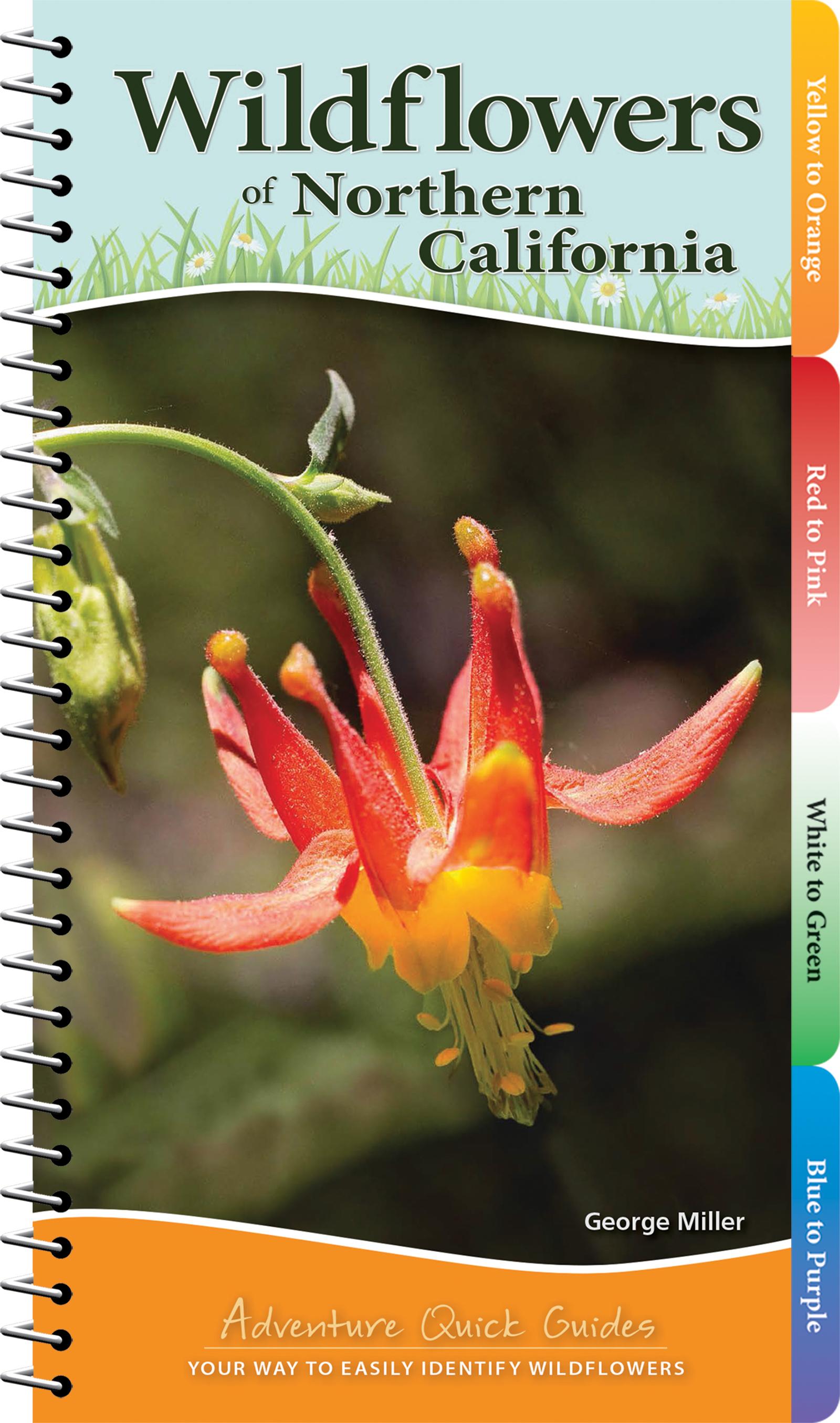 Vorderes Coverbild Wildflowers of Northern California
