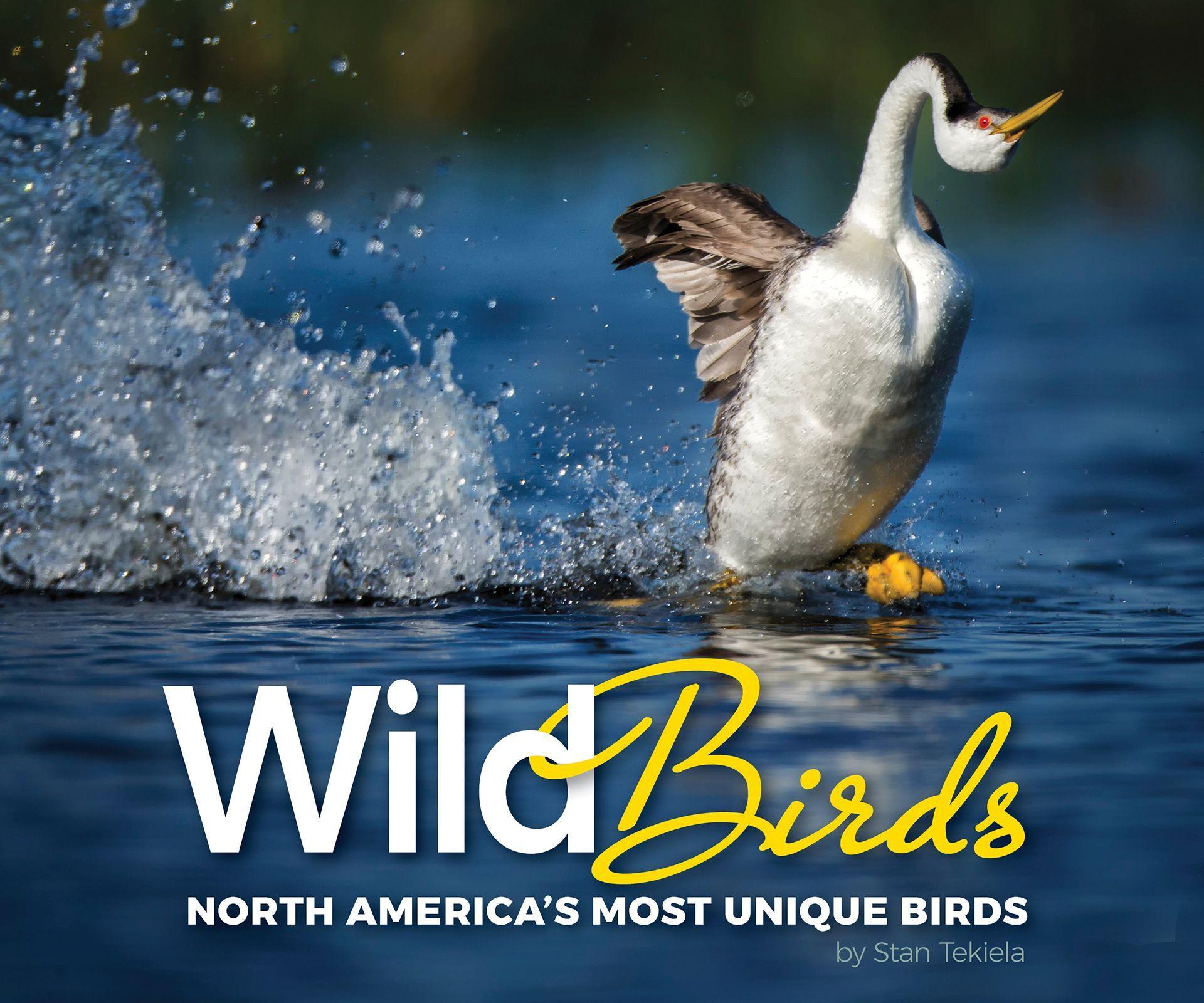 Vorderes Coverbild Wild Birds