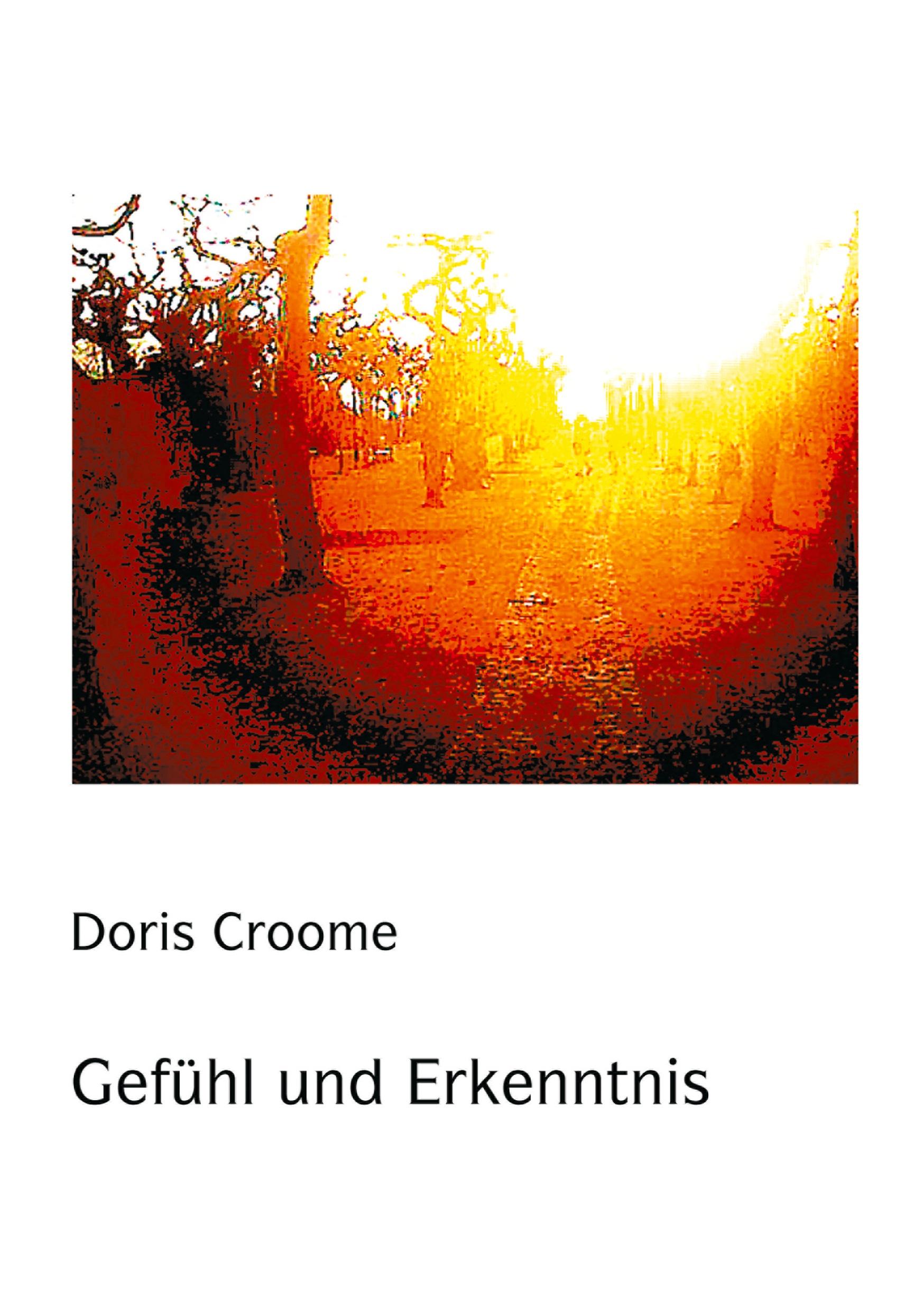 Vorderes Coverbild Gefühl und Erkenntnis
