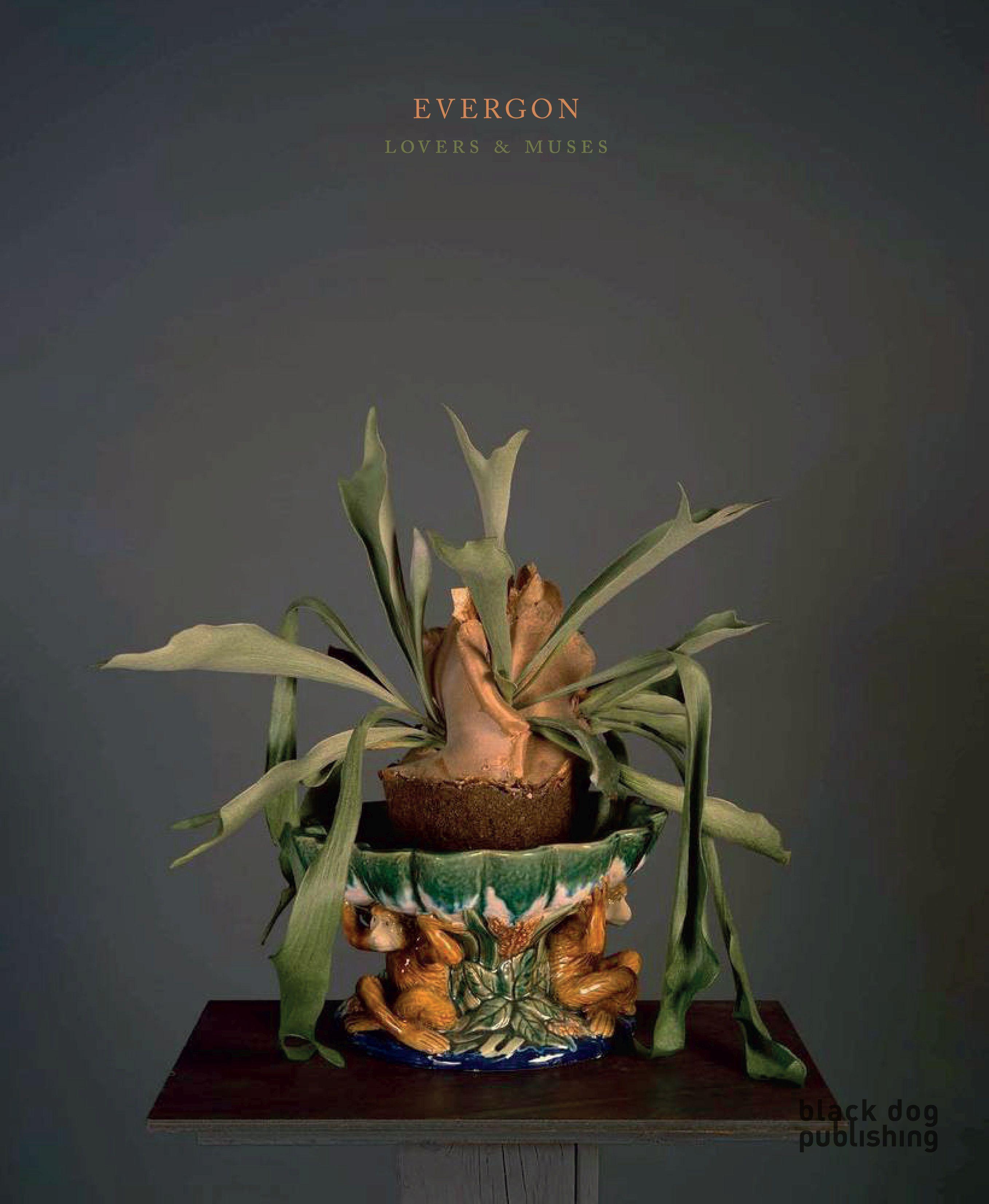 Vorderes Coverbild Evergon