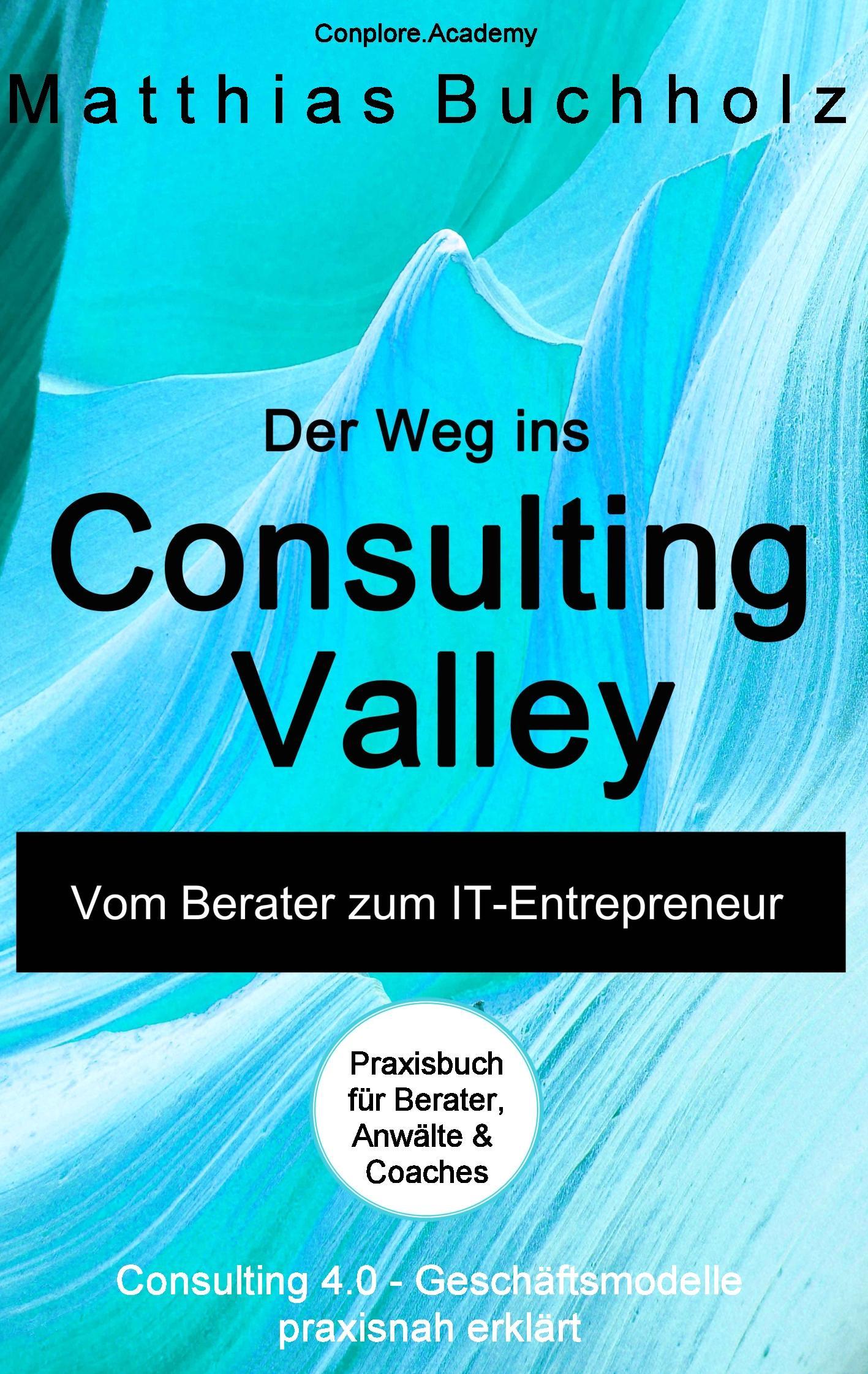 Vorderes Coverbild Der Weg ins Consulting Valley
