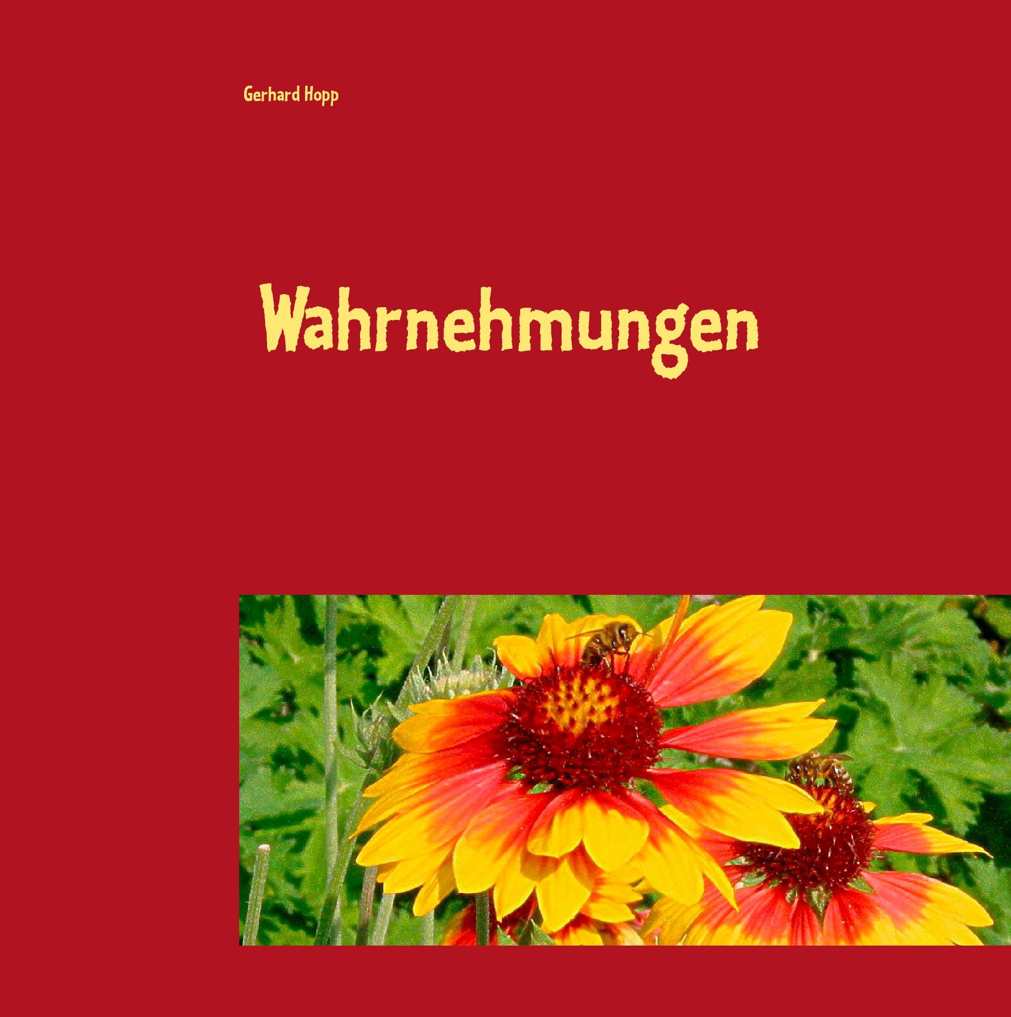 Vorderes Coverbild Wahrnehmungen