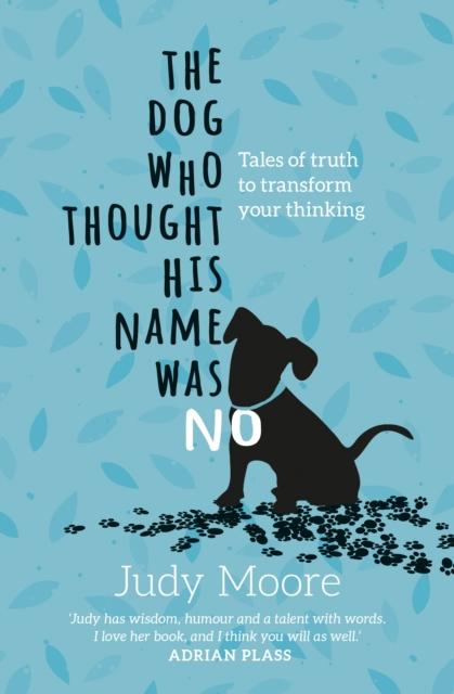 Vorderes Coverbild The Dog Who Thought His Name Was No