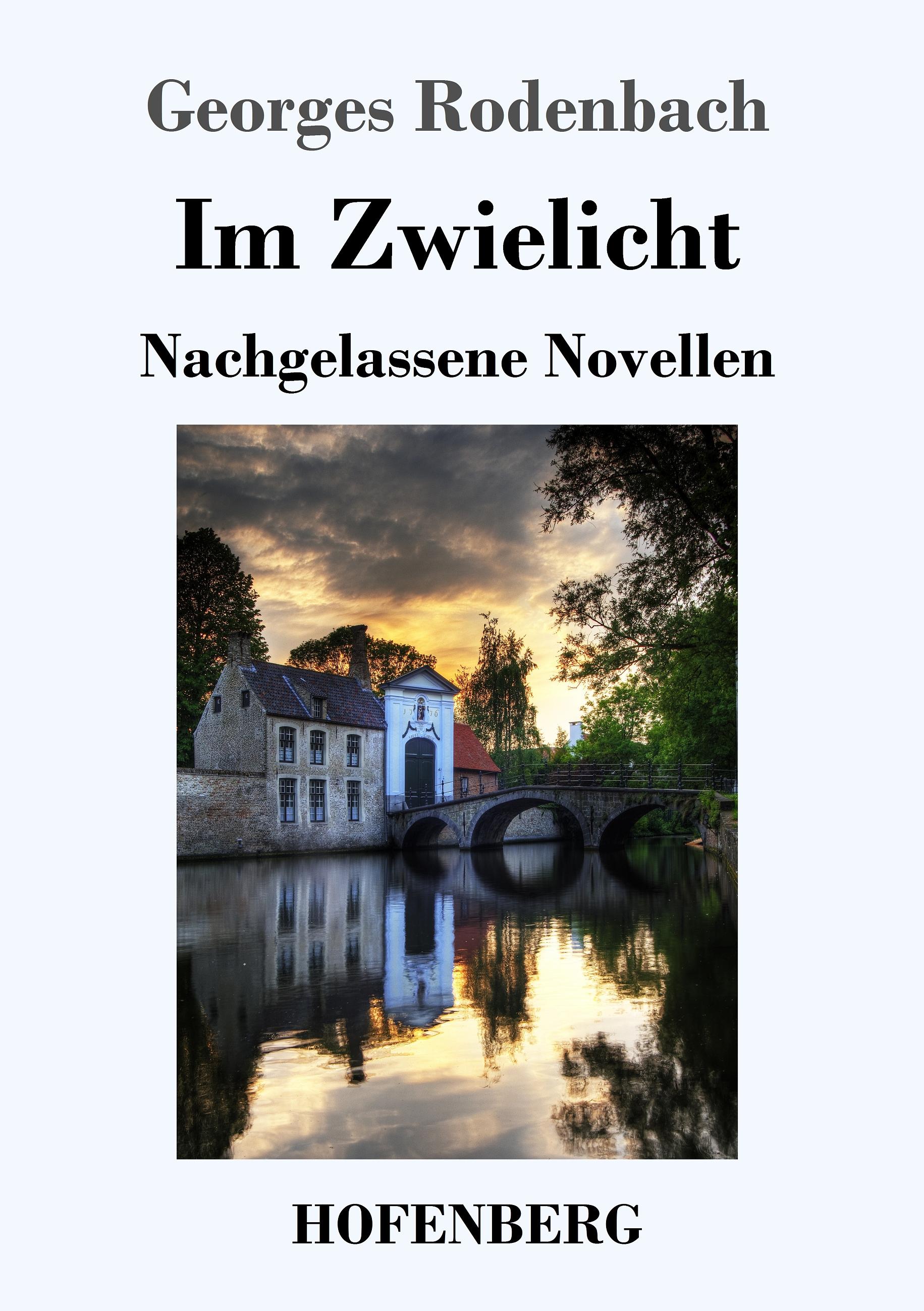 Vorderes Coverbild Im Zwielicht