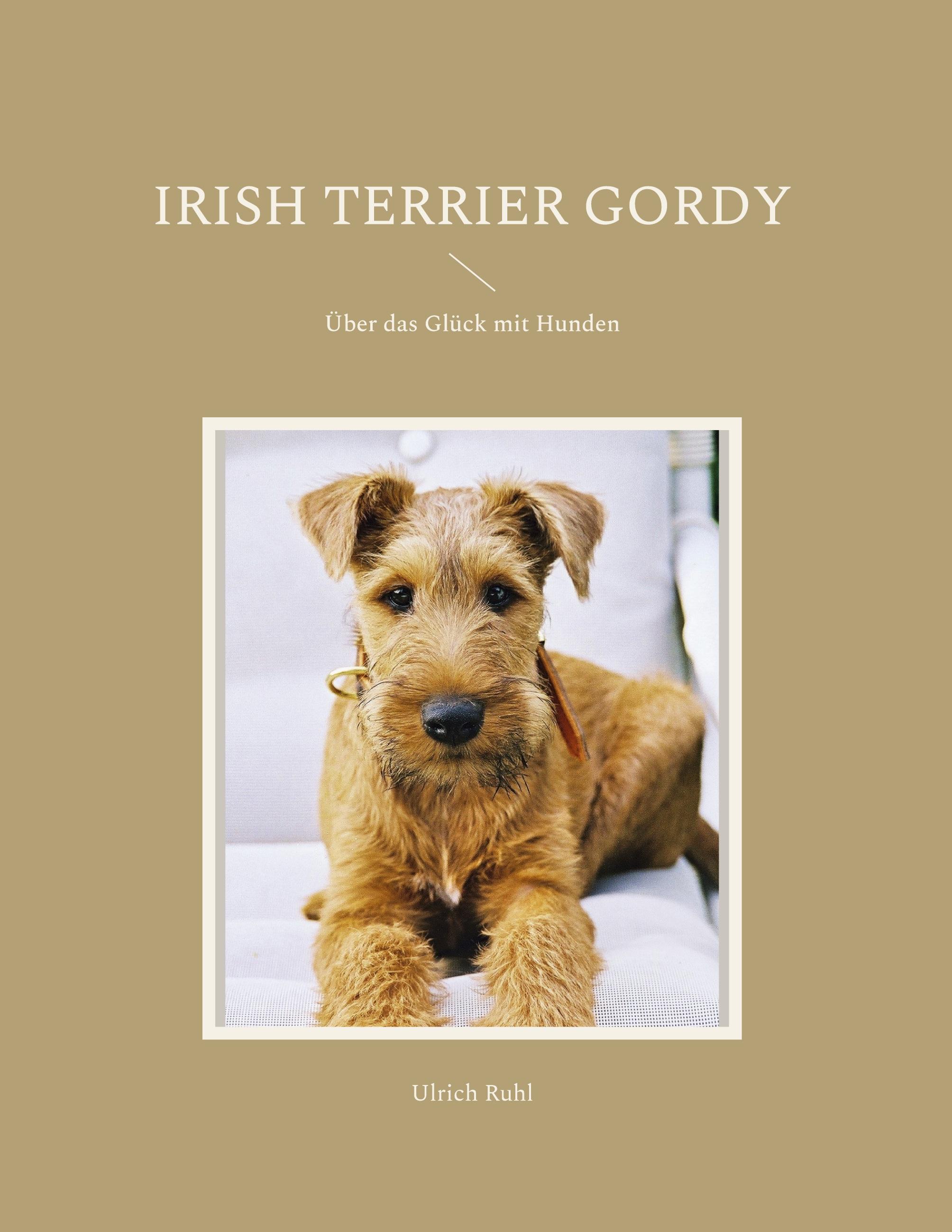 Vorderes Coverbild Irish Terrier Gordy
